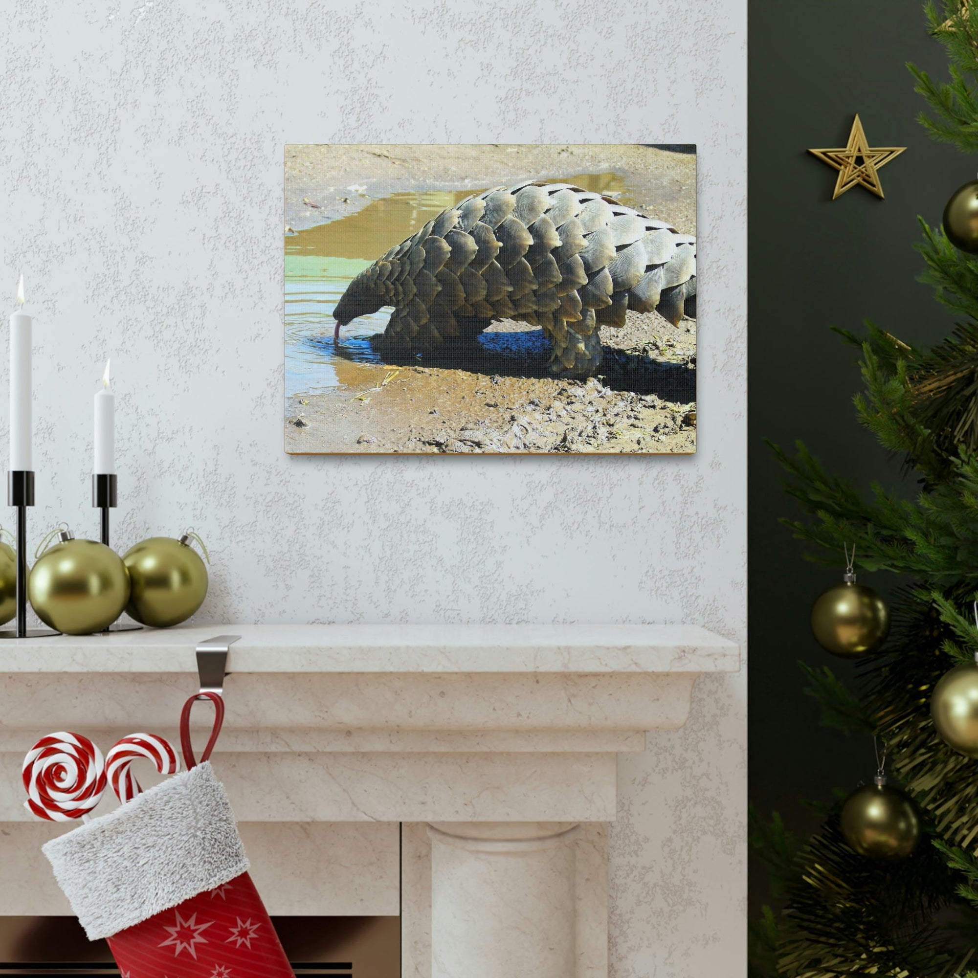 Funny Pangolin Silly African Tree Pangolin Outside Wall Art Ready to Hang Unframed-Express Your Love Gifts