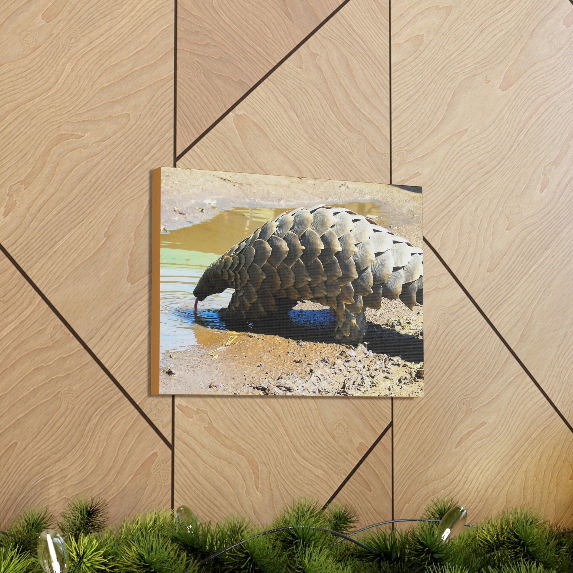 Funny Pangolin Silly African Tree Pangolin Outside Wall Art Ready to Hang Unframed-Express Your Love Gifts