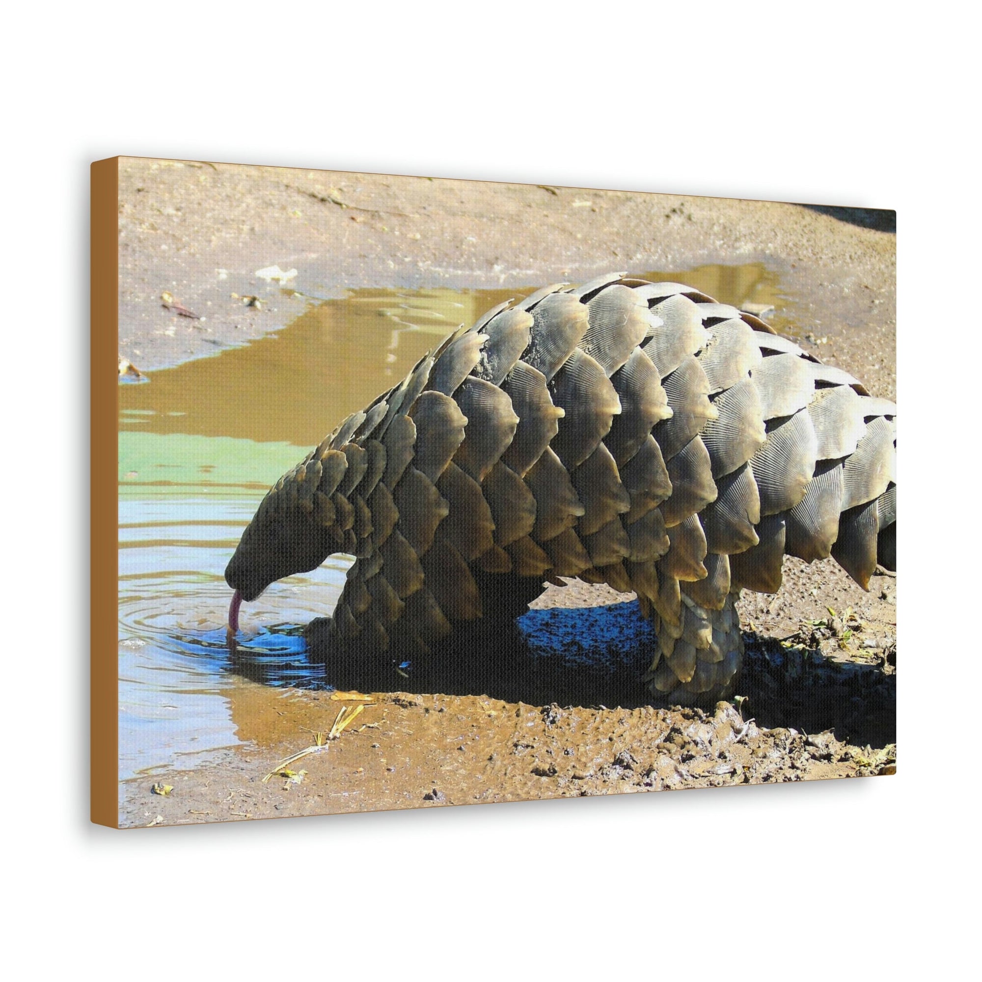 Funny Pangolin Silly African Tree Pangolin Outside Wall Art Ready to Hang Unframed-Express Your Love Gifts