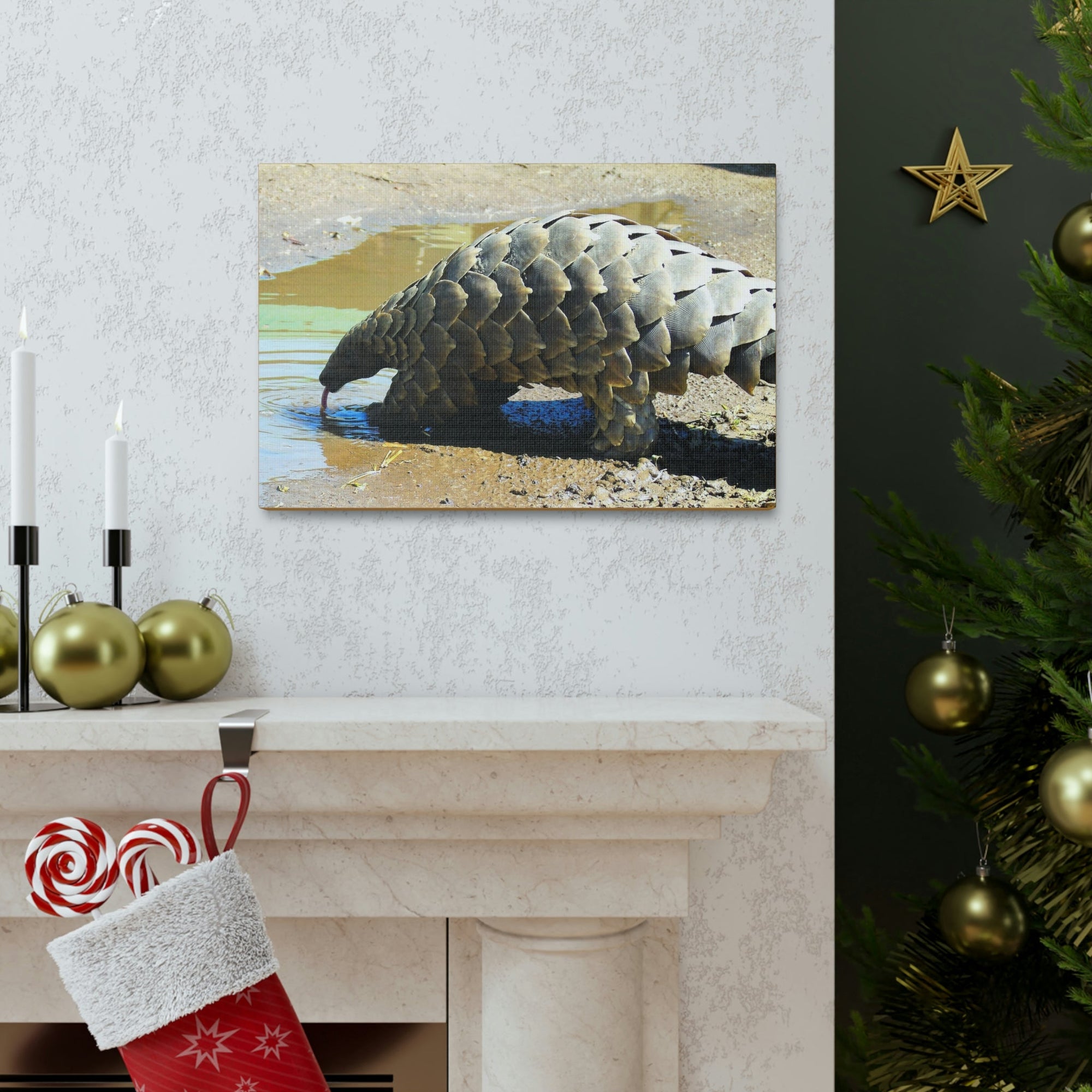 Funny Pangolin Silly African Tree Pangolin Outside Wall Art Ready to Hang Unframed-Express Your Love Gifts