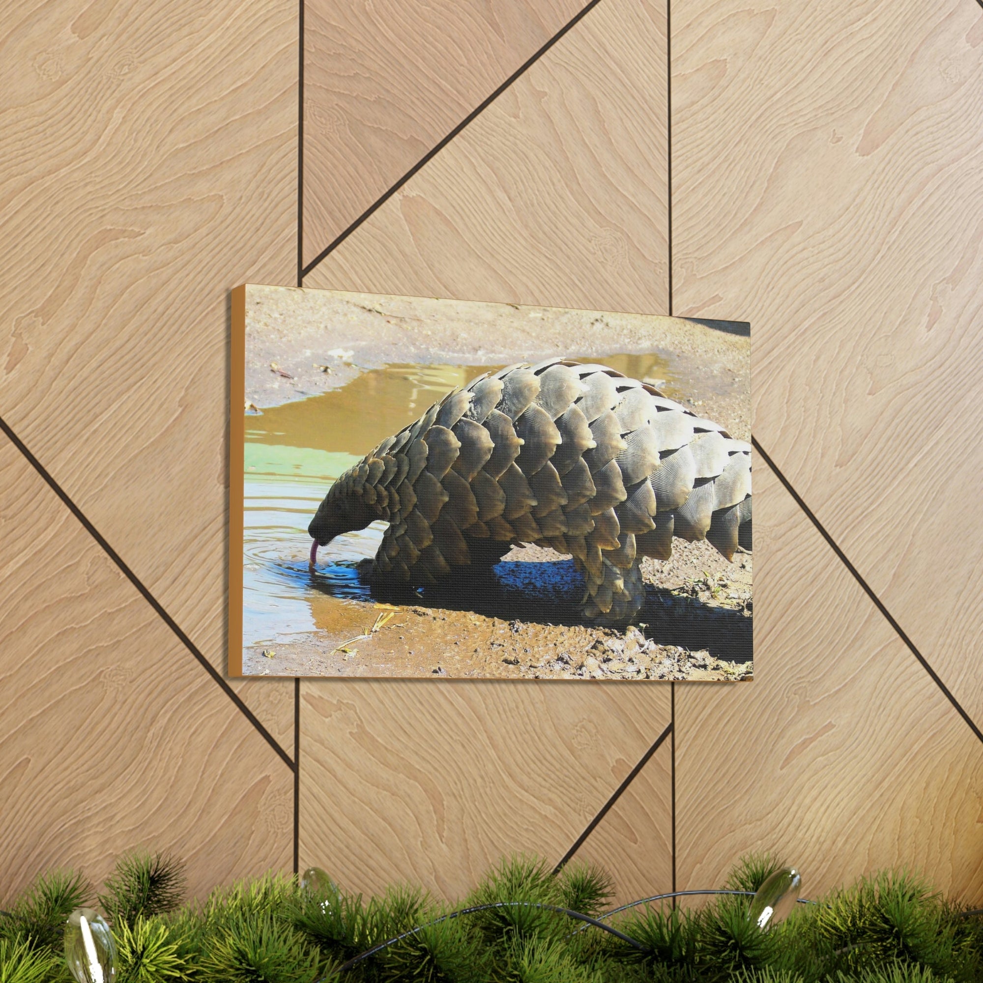 Funny Pangolin Silly African Tree Pangolin Outside Wall Art Ready to Hang Unframed-Express Your Love Gifts