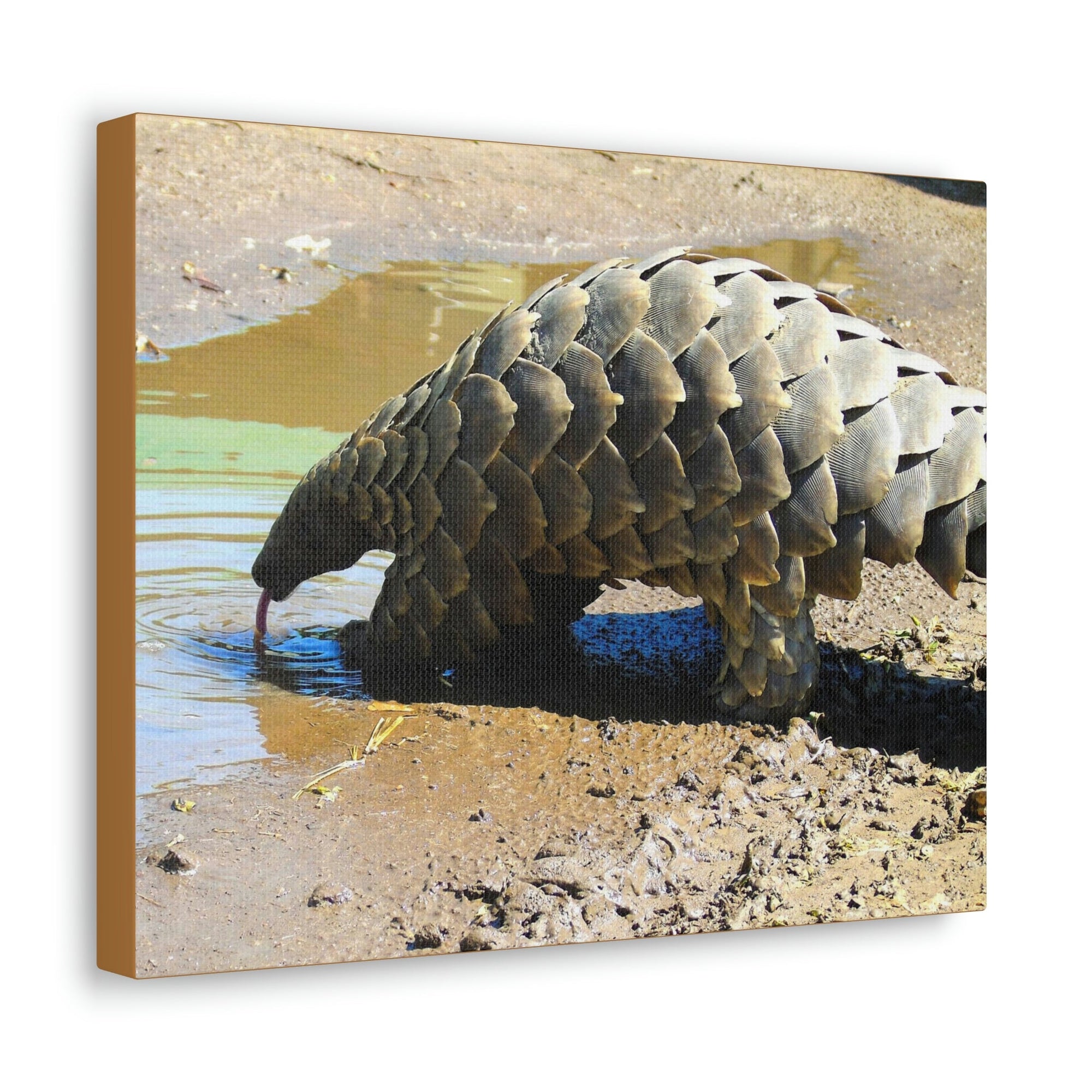 Funny Pangolin Silly African Tree Pangolin Outside Wall Art Ready to Hang Unframed-Express Your Love Gifts