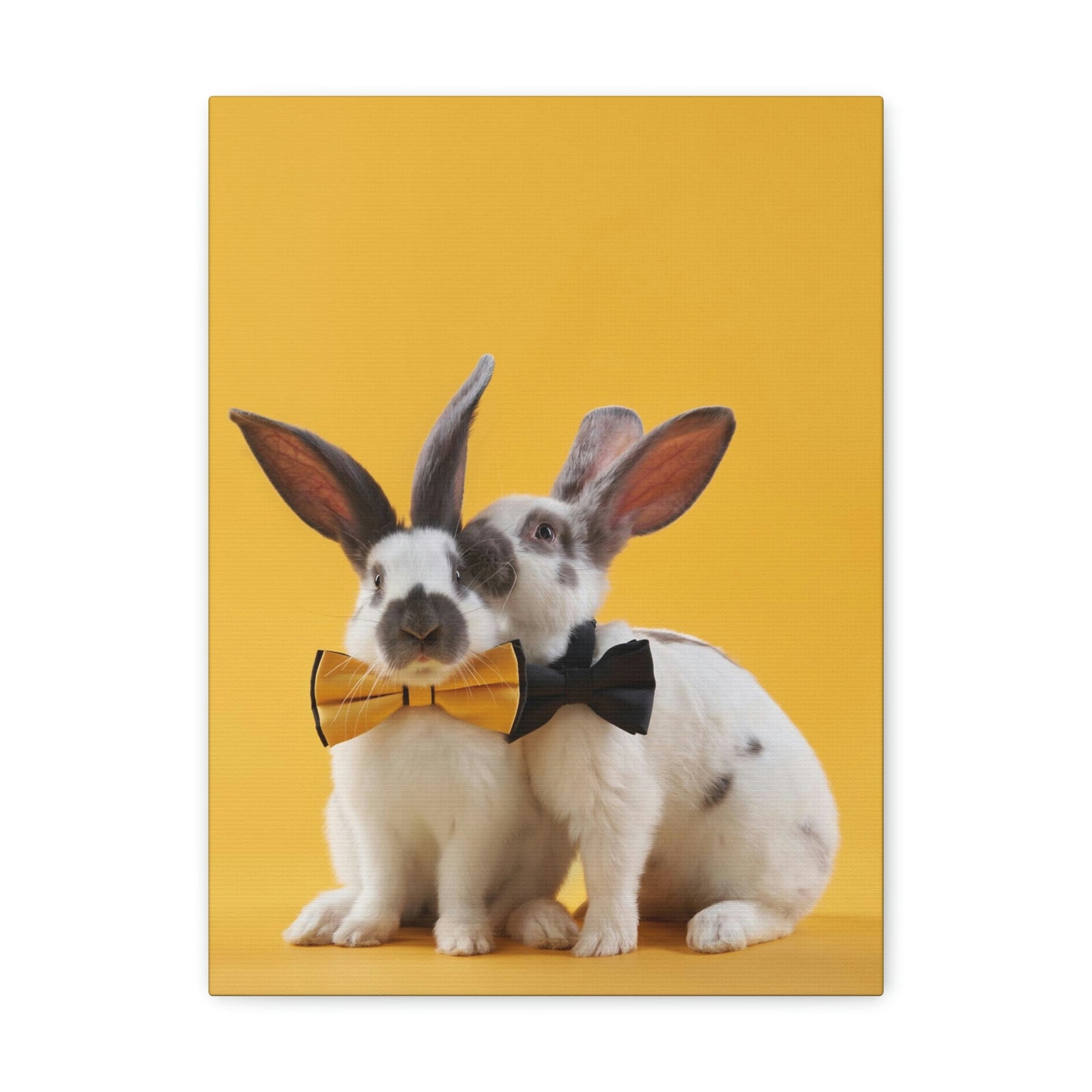 Funny Rabbit Silly Rabbit Couple Wall Art Ready to Hang Unframed-Express Your Love Gifts