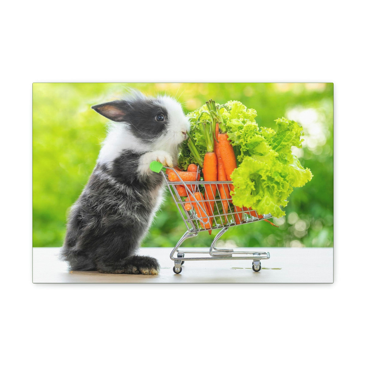 Funny Rabbit Silly Rabbit Outside Wall Art Ready to Hang Unframed-Express Your Love Gifts