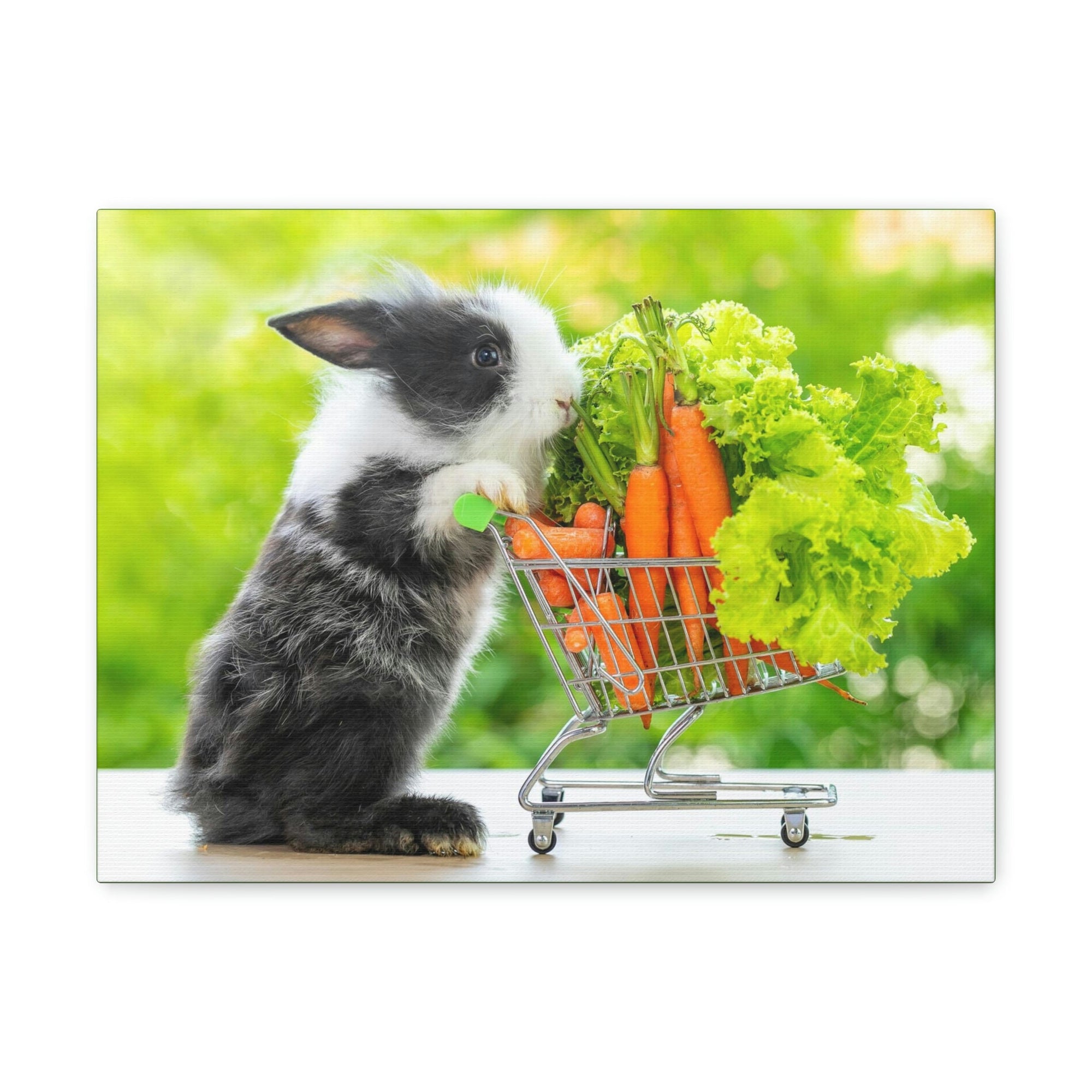 Funny Rabbit Silly Rabbit Outside Wall Art Ready to Hang Unframed-Express Your Love Gifts