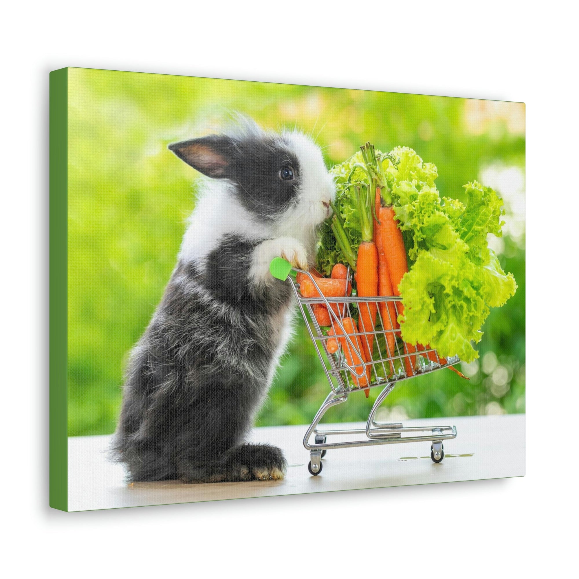 Funny Rabbit Silly Rabbit Outside Wall Art Ready to Hang Unframed-Express Your Love Gifts