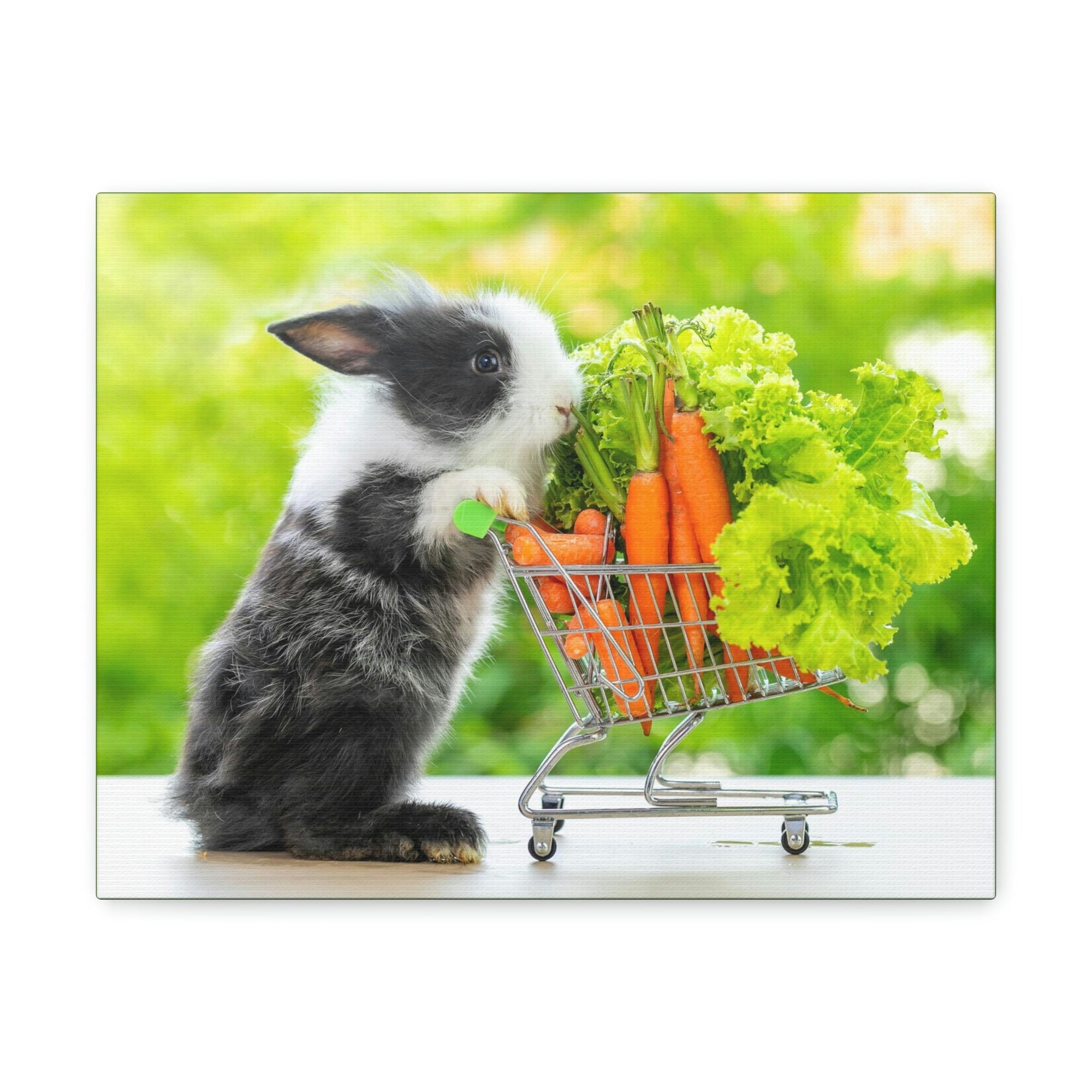 Funny Rabbit Silly Rabbit Outside Wall Art Ready to Hang Unframed-Express Your Love Gifts