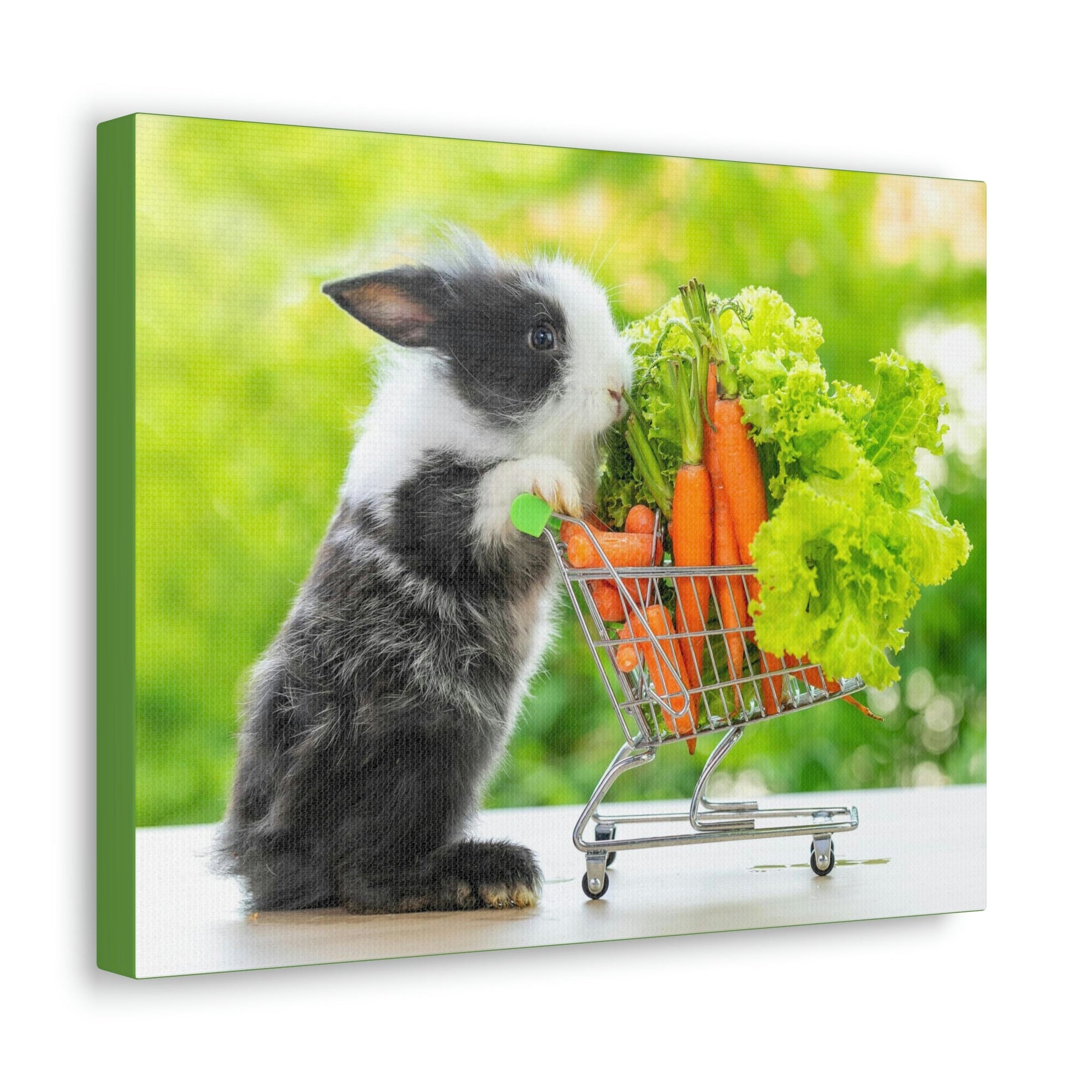 Funny Rabbit Silly Rabbit Outside Wall Art Ready to Hang Unframed-Express Your Love Gifts