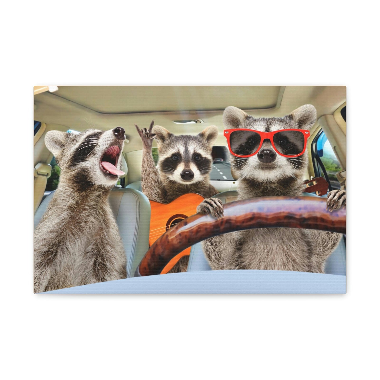 Funny Raccoon Silly Raccoon Couple Wall Art Ready to Hang Unframed-Express Your Love Gifts