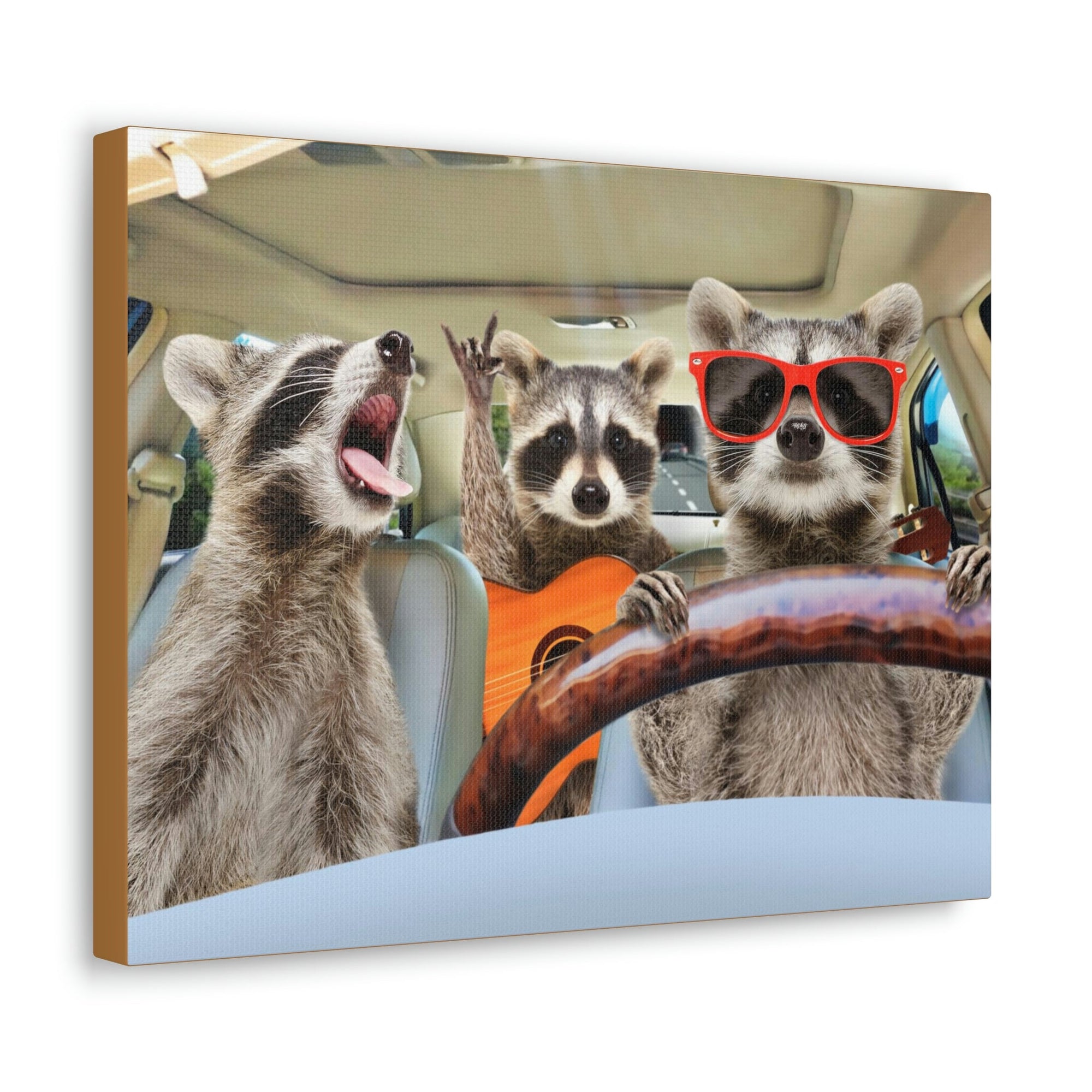 Funny Raccoon Silly Raccoon Couple Wall Art Ready to Hang Unframed-Express Your Love Gifts