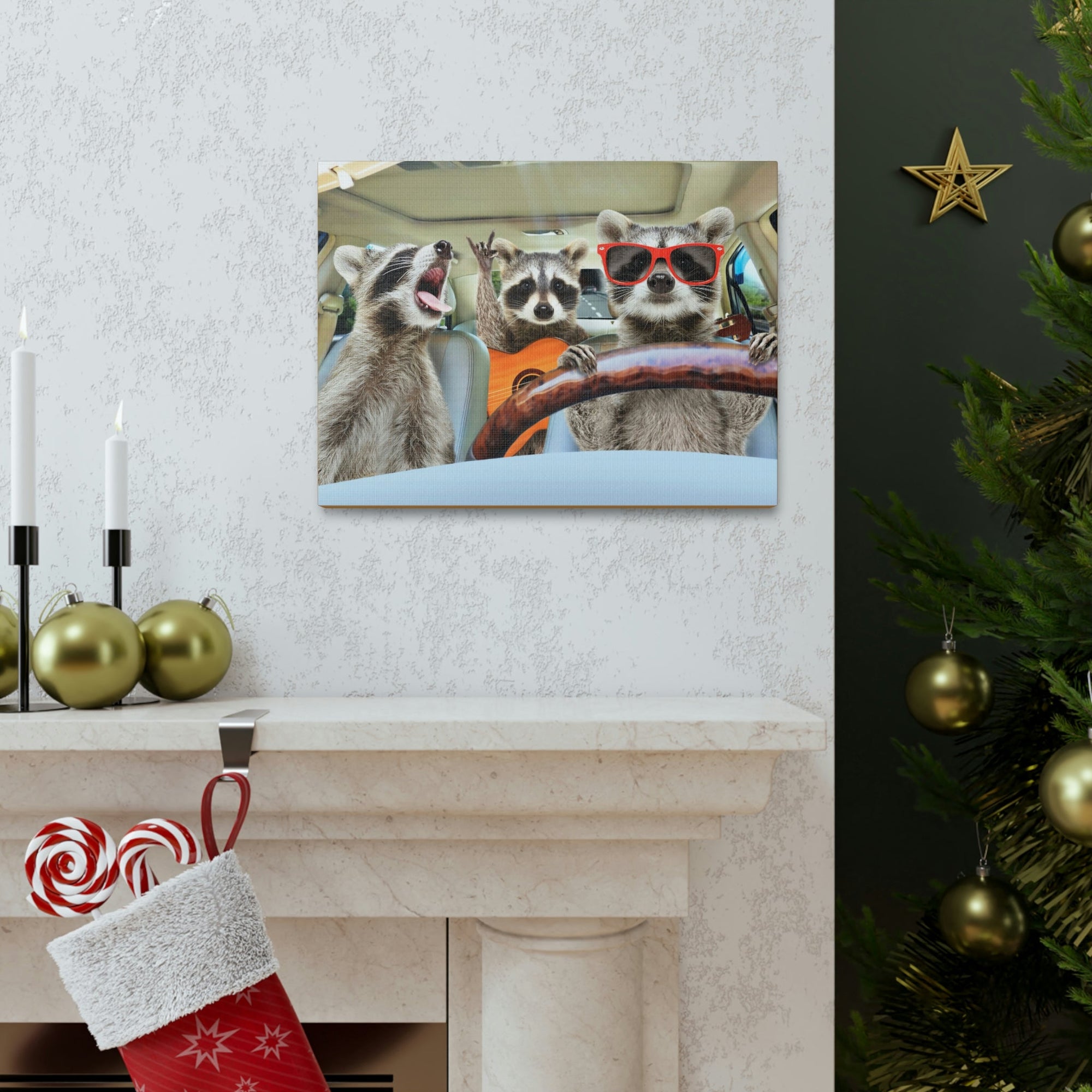 Funny Raccoon Silly Raccoon Couple Wall Art Ready to Hang Unframed-Express Your Love Gifts