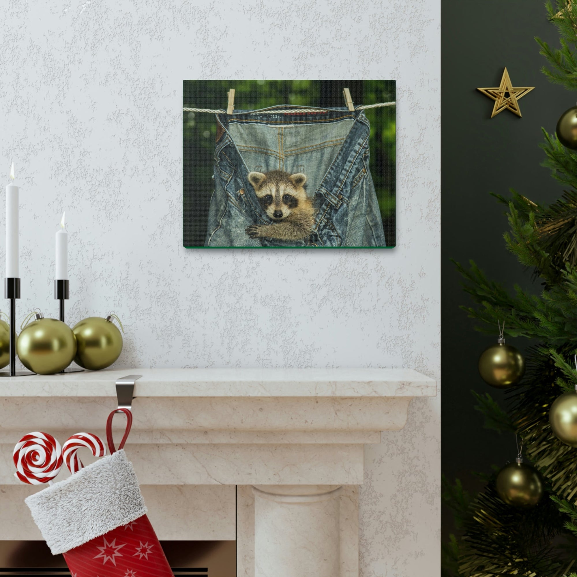 Funny Raccoon Silly Raccoon Outside Wall Art Ready to Hang Unframed-Express Your Love Gifts