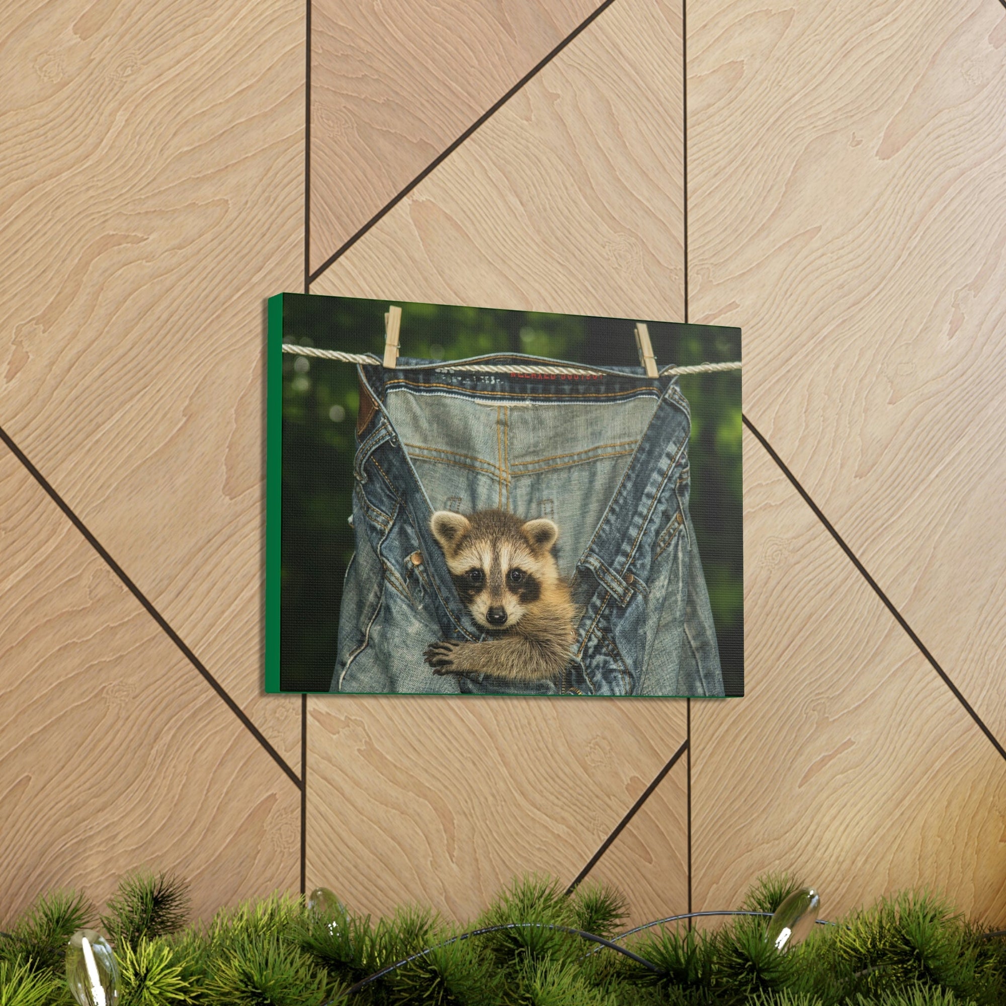 Funny Raccoon Silly Raccoon Outside Wall Art Ready to Hang Unframed-Express Your Love Gifts