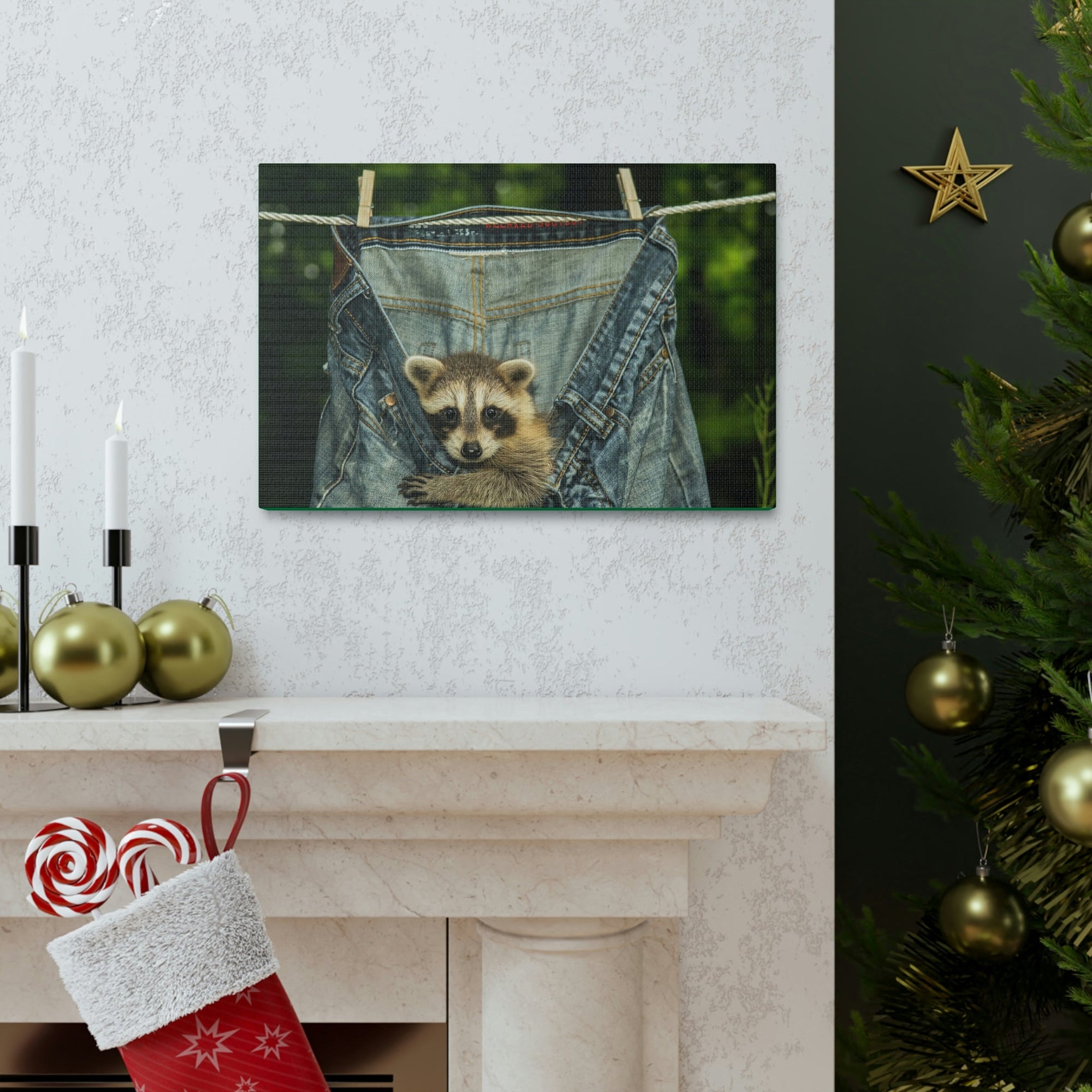 Funny Raccoon Silly Raccoon Outside Wall Art Ready to Hang Unframed-Express Your Love Gifts