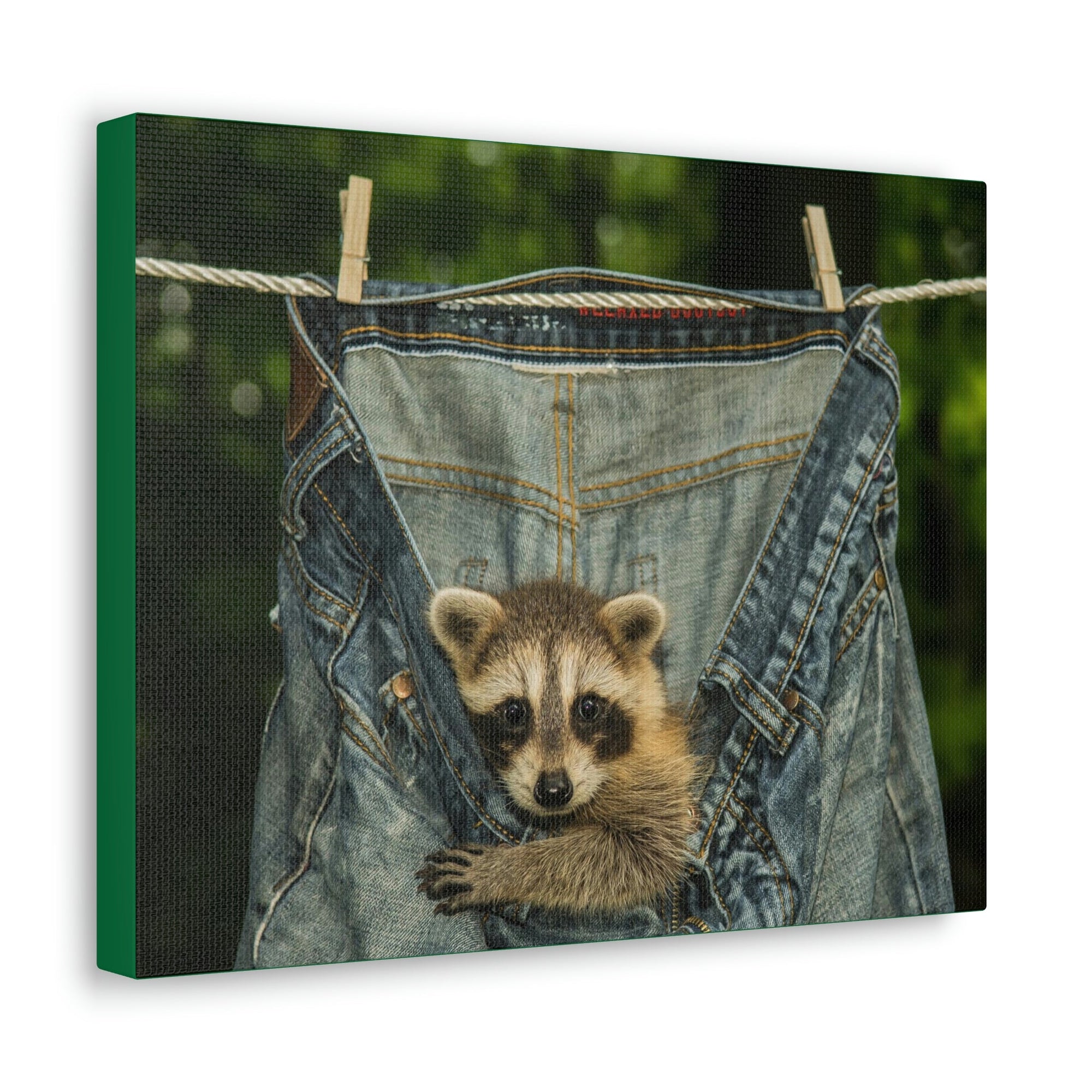 Funny Raccoon Silly Raccoon Outside Wall Art Ready to Hang Unframed-Express Your Love Gifts