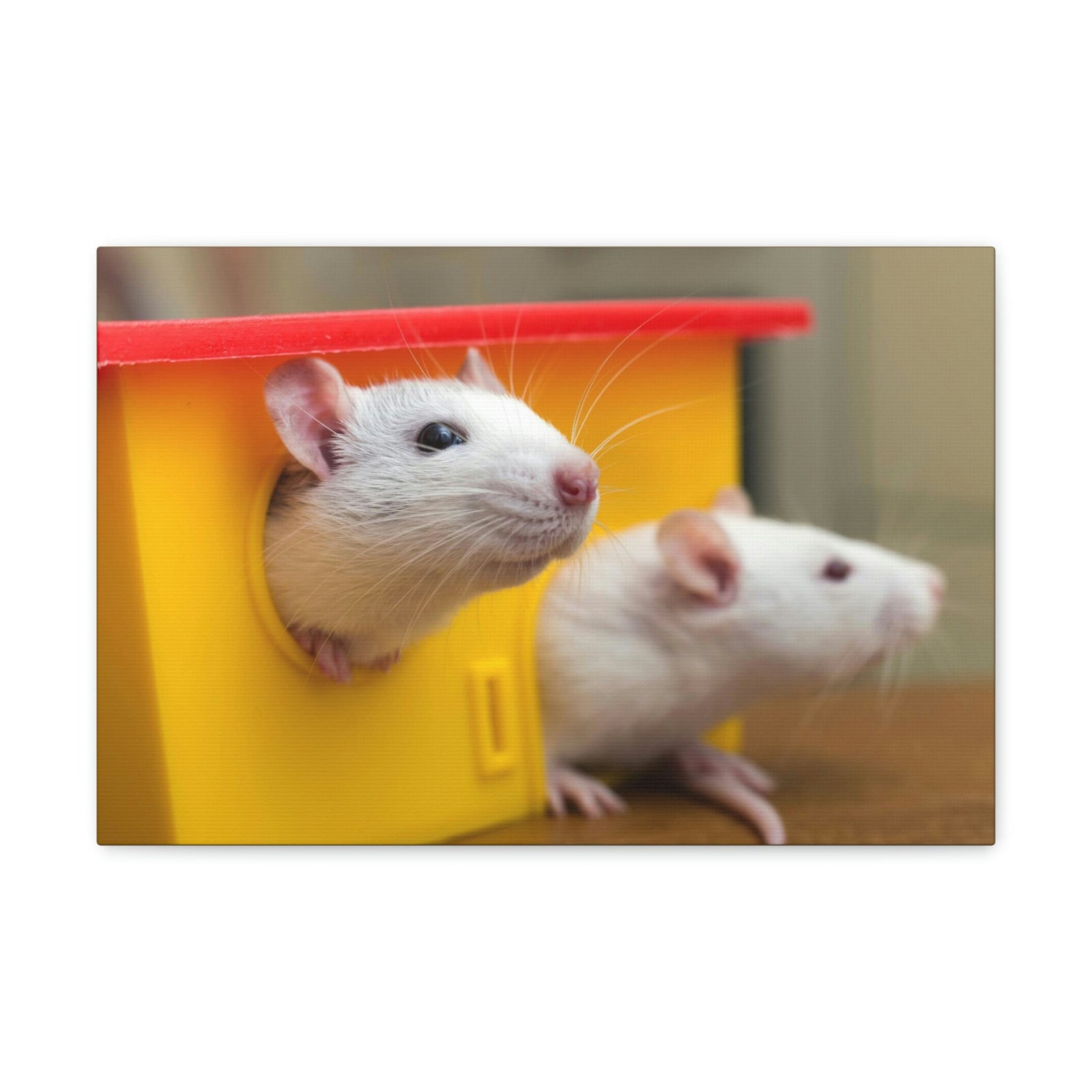 Funny Rat Couple of Silly Rat Inside Wall Art Ready to Hang Unframed-Express Your Love Gifts