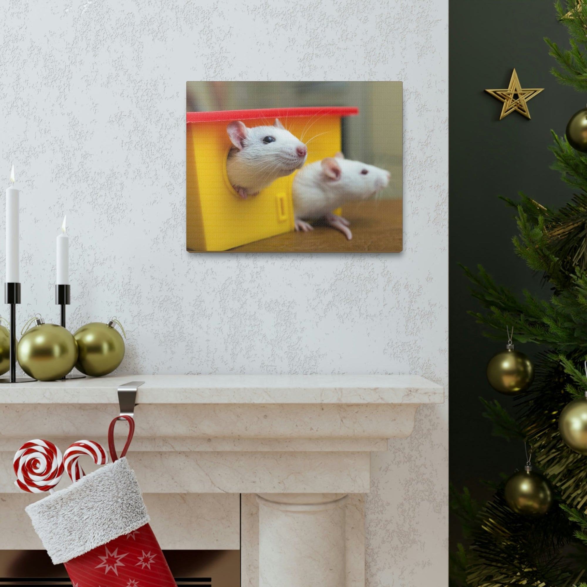 Funny Rat Couple of Silly Rat Inside Wall Art Ready to Hang Unframed-Express Your Love Gifts