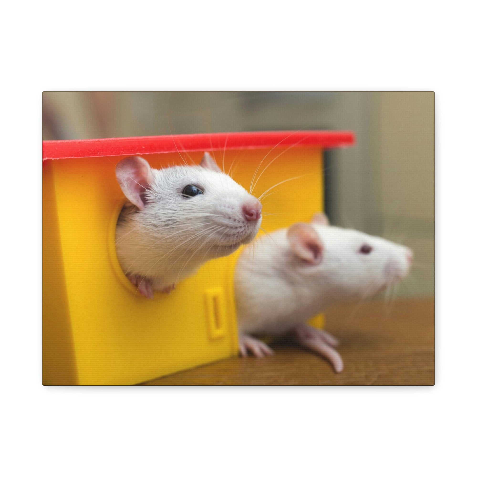 Funny Rat Couple of Silly Rat Inside Wall Art Ready to Hang Unframed-Express Your Love Gifts