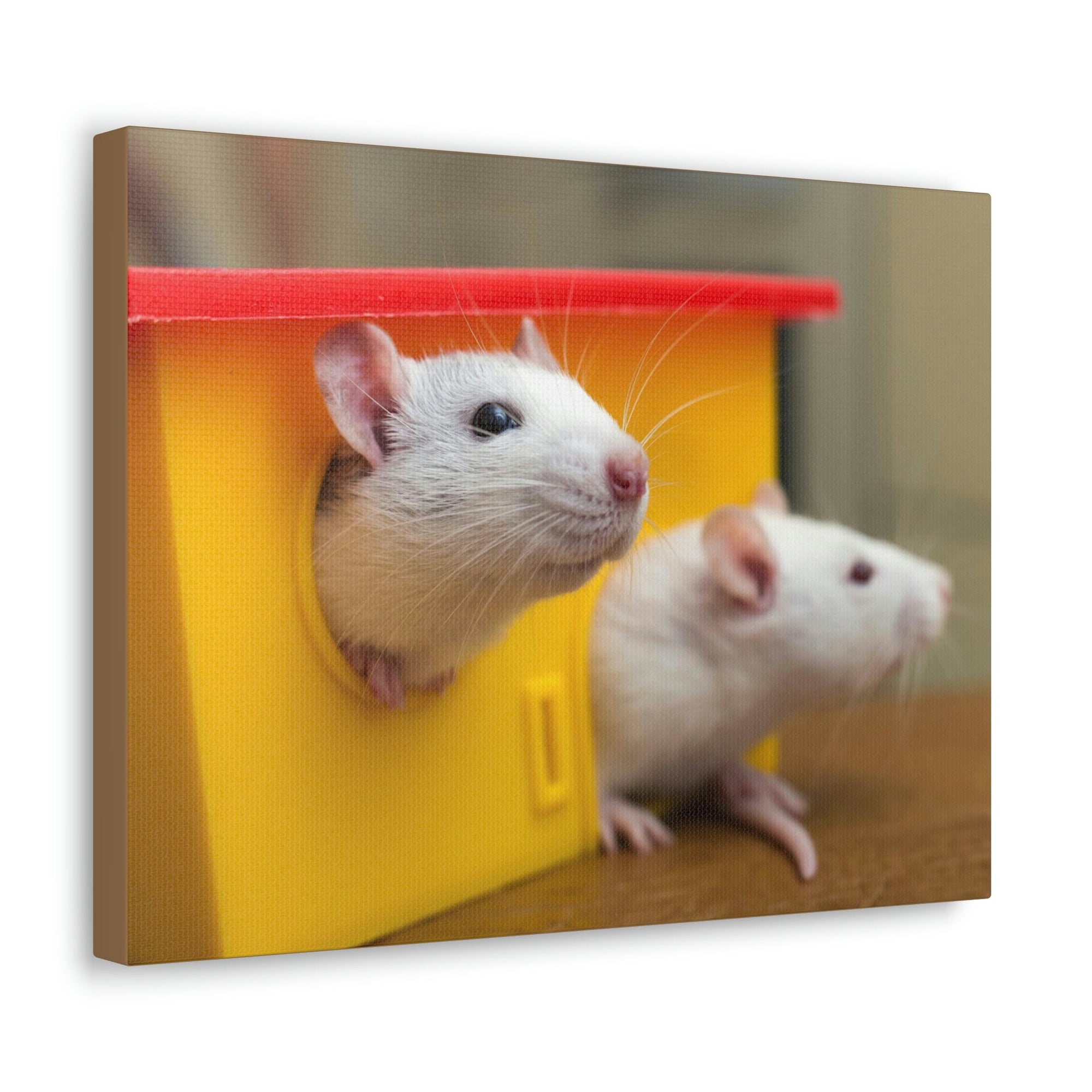 Funny Rat Couple of Silly Rat Inside Wall Art Ready to Hang Unframed-Express Your Love Gifts