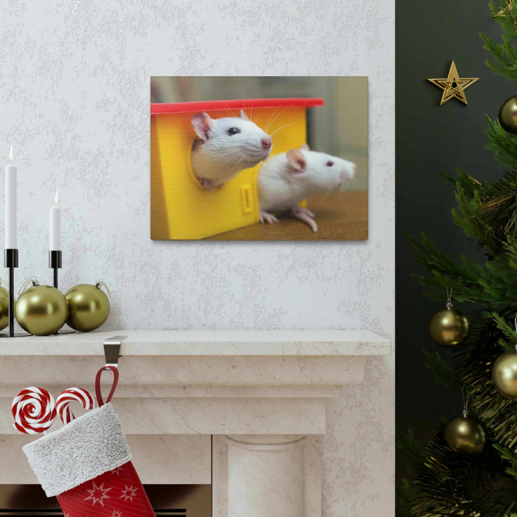 Funny Rat Couple of Silly Rat Inside Wall Art Ready to Hang Unframed-Express Your Love Gifts