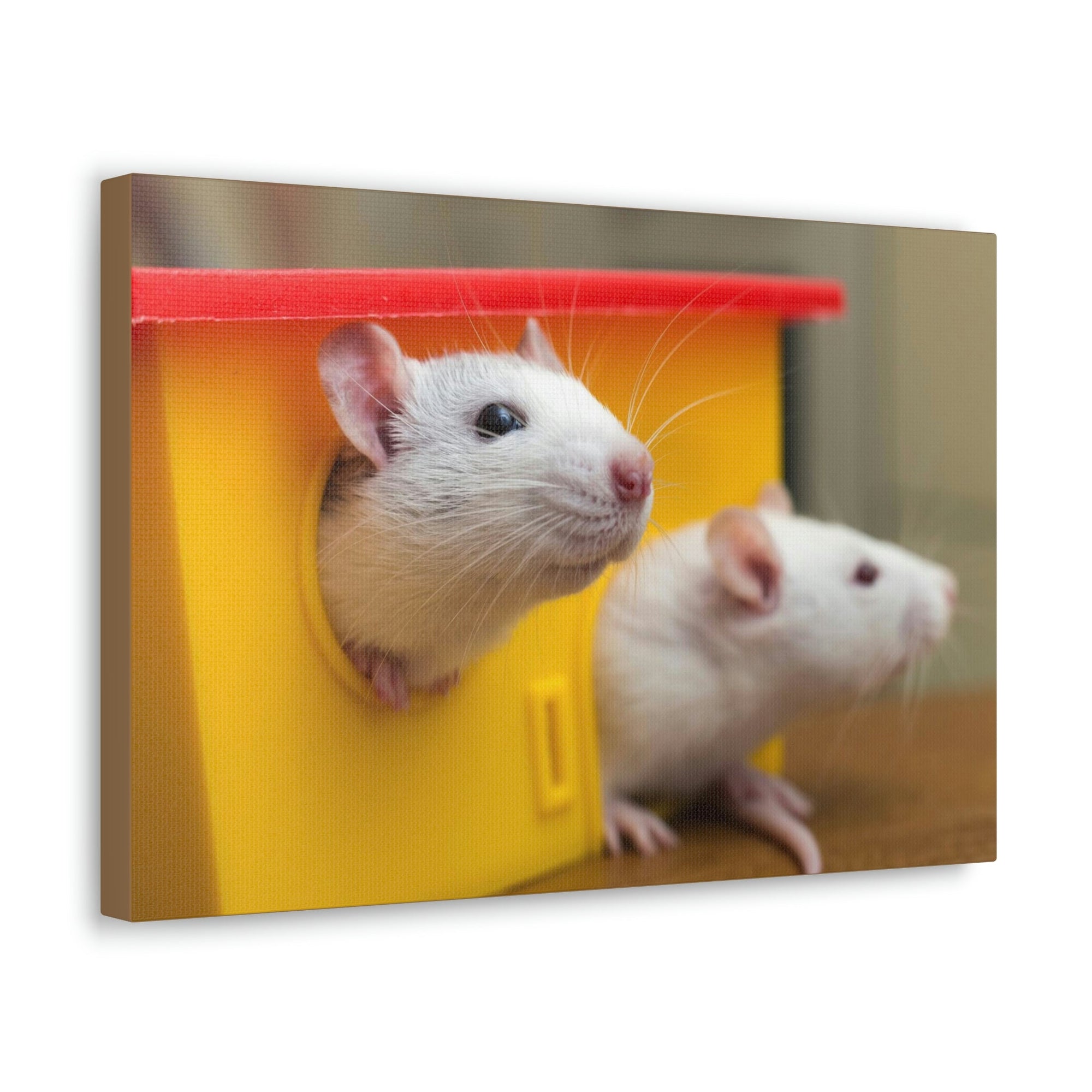 Funny Rat Couple of Silly Rat Inside Wall Art Ready to Hang Unframed-Express Your Love Gifts