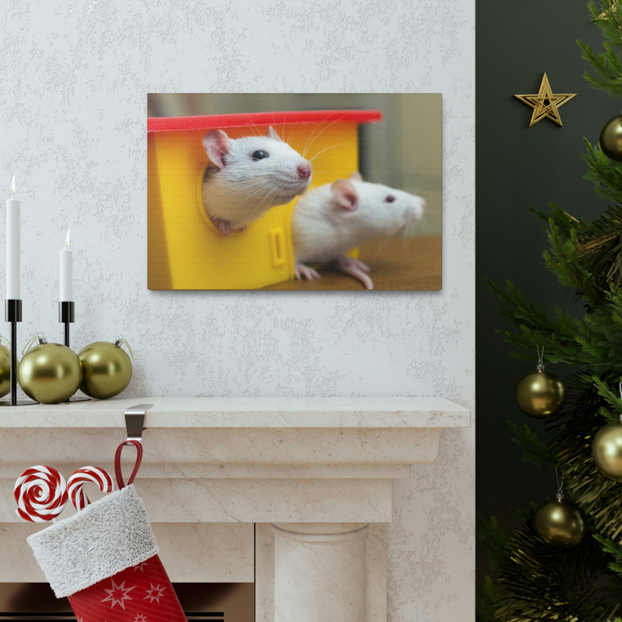 Funny Rat Couple of Silly Rat Inside Wall Art Ready to Hang Unframed-Express Your Love Gifts