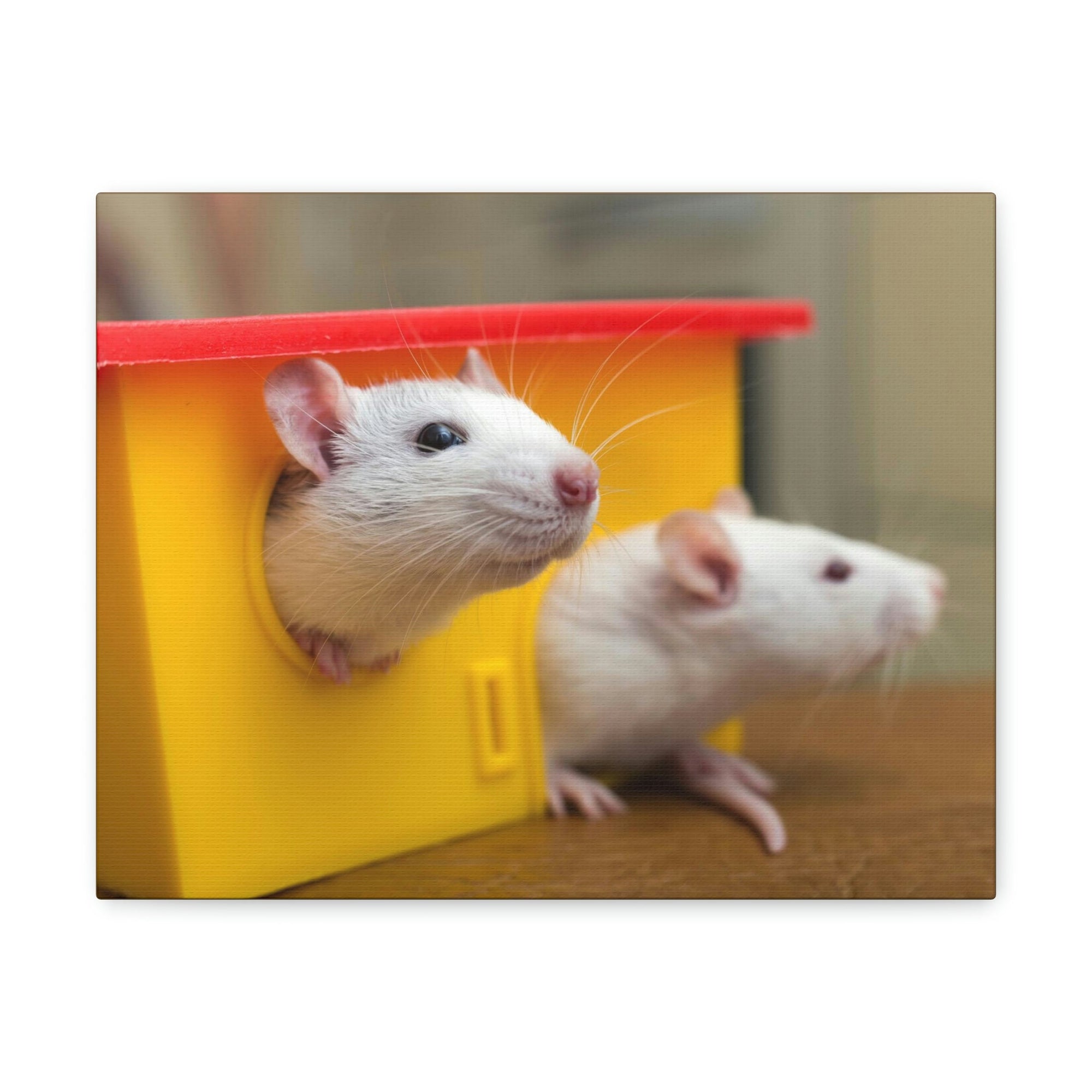 Funny Rat Couple of Silly Rat Inside Wall Art Ready to Hang Unframed-Express Your Love Gifts