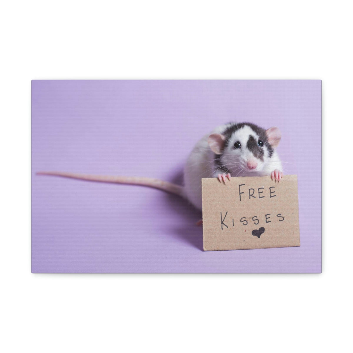 Funny Rat Silly Rat Inside Wall Art Ready to Hang Unframed-Express Your Love Gifts