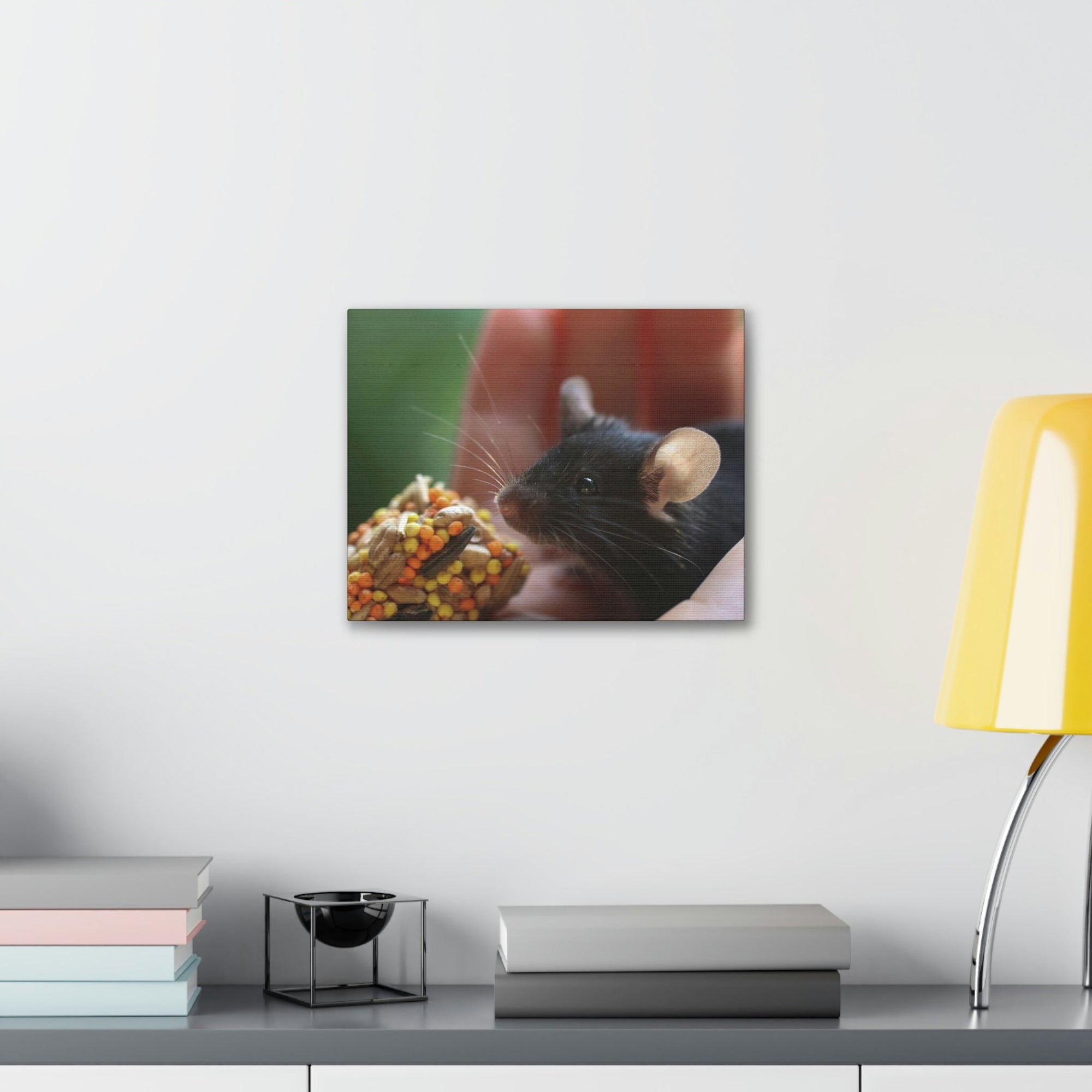 Funny Rat Silly Rat Outside Wall Art Ready to Hang Unframed-Express Your Love Gifts