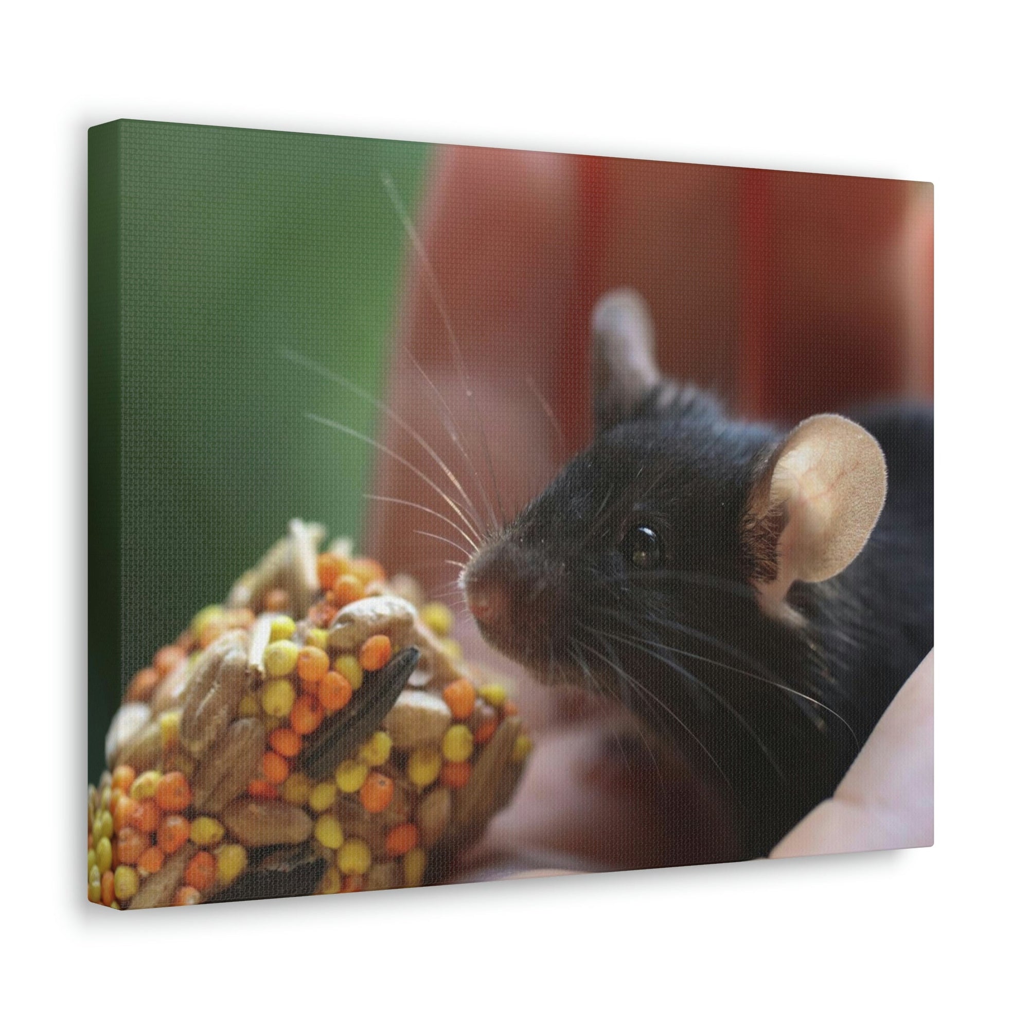 Funny Rat Silly Rat Outside Wall Art Ready to Hang Unframed-Express Your Love Gifts