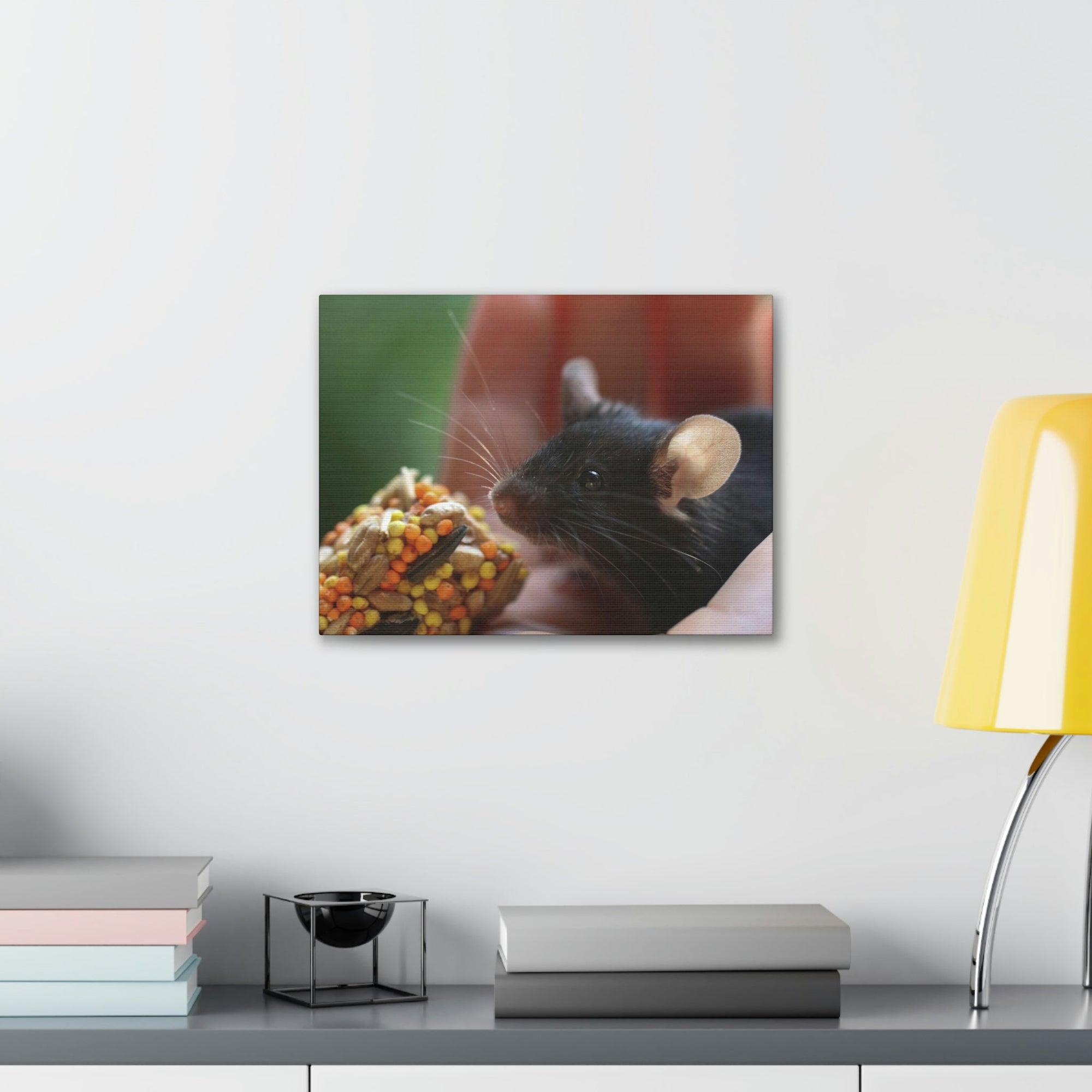 Funny Rat Silly Rat Outside Wall Art Ready to Hang Unframed-Express Your Love Gifts