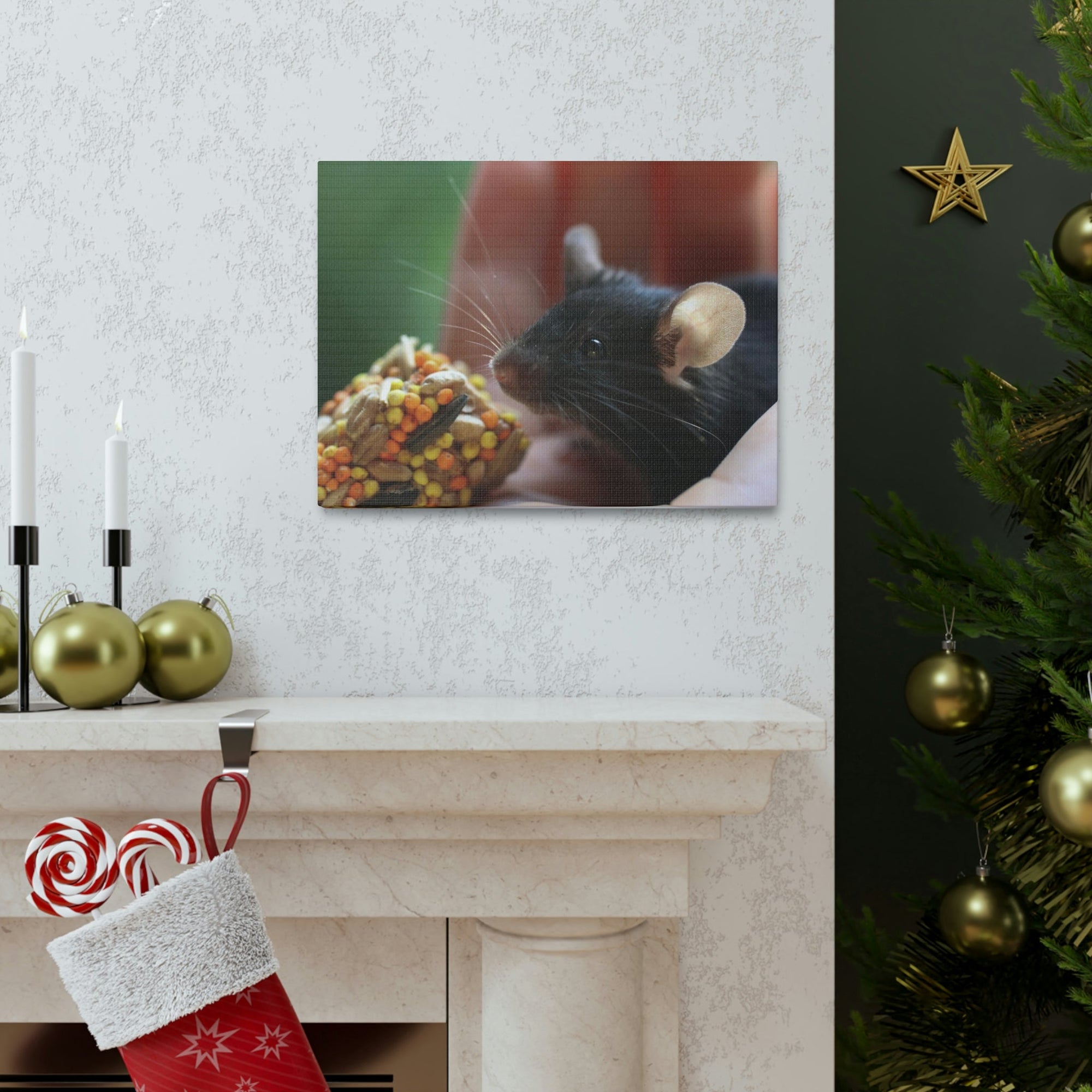 Funny Rat Silly Rat Outside Wall Art Ready to Hang Unframed-Express Your Love Gifts