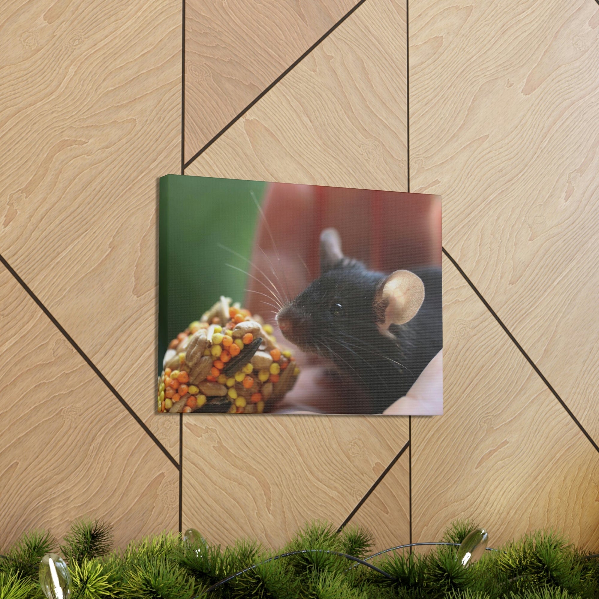 Funny Rat Silly Rat Outside Wall Art Ready to Hang Unframed-Express Your Love Gifts