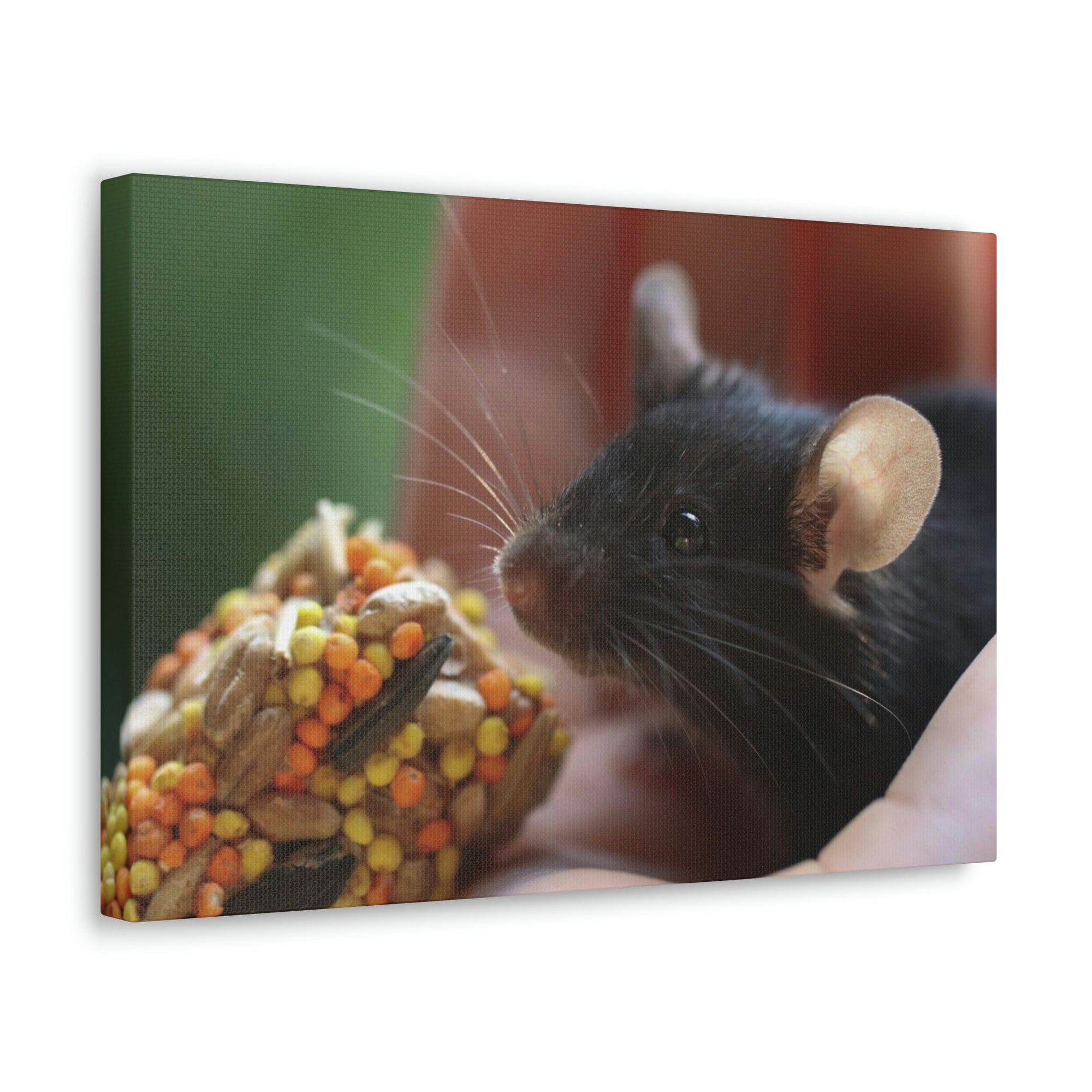 Funny Rat Silly Rat Outside Wall Art Ready to Hang Unframed-Express Your Love Gifts