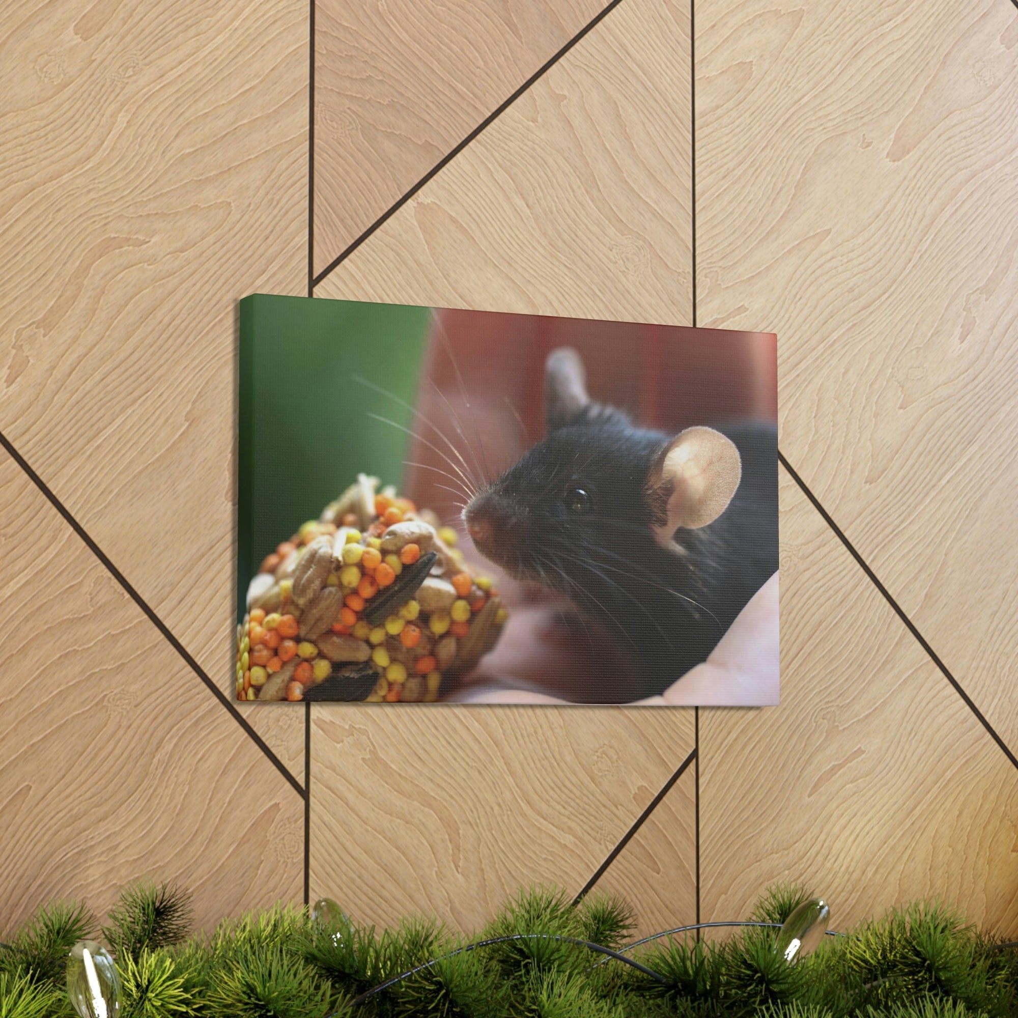 Funny Rat Silly Rat Outside Wall Art Ready to Hang Unframed-Express Your Love Gifts