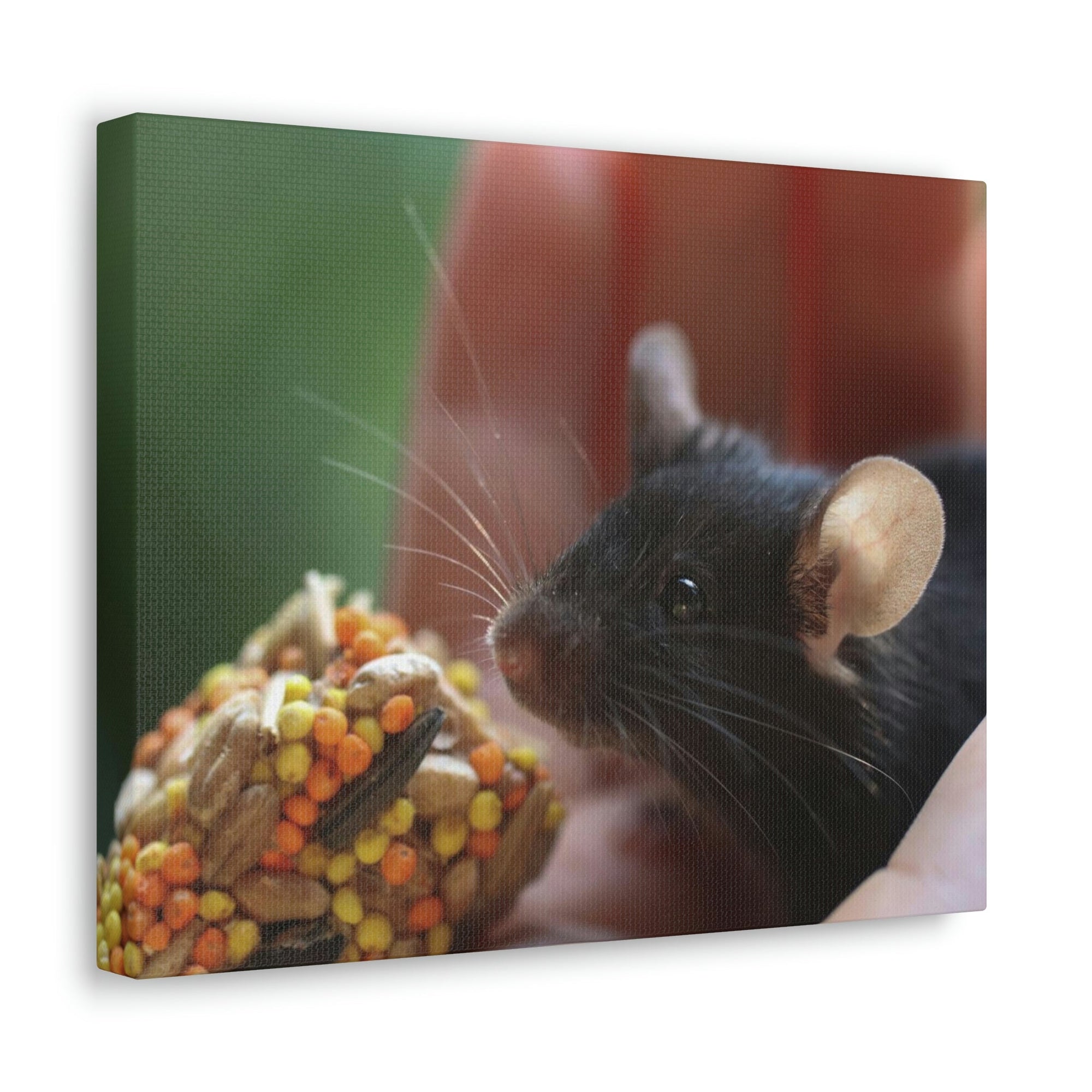 Funny Rat Silly Rat Outside Wall Art Ready to Hang Unframed-Express Your Love Gifts