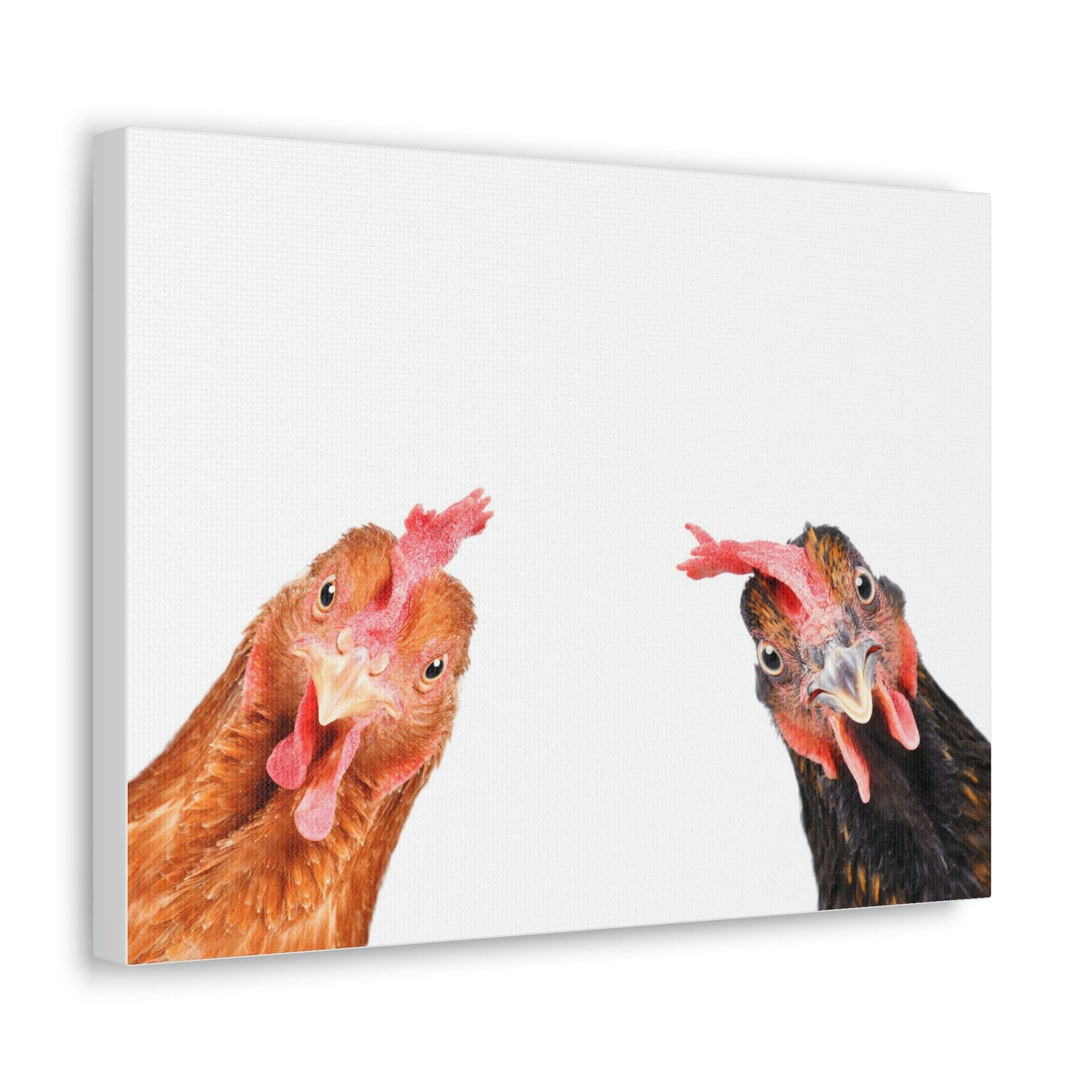 Funny Rooster Silly Rooster Couple Wall Art Ready to Hang Unframed-Express Your Love Gifts