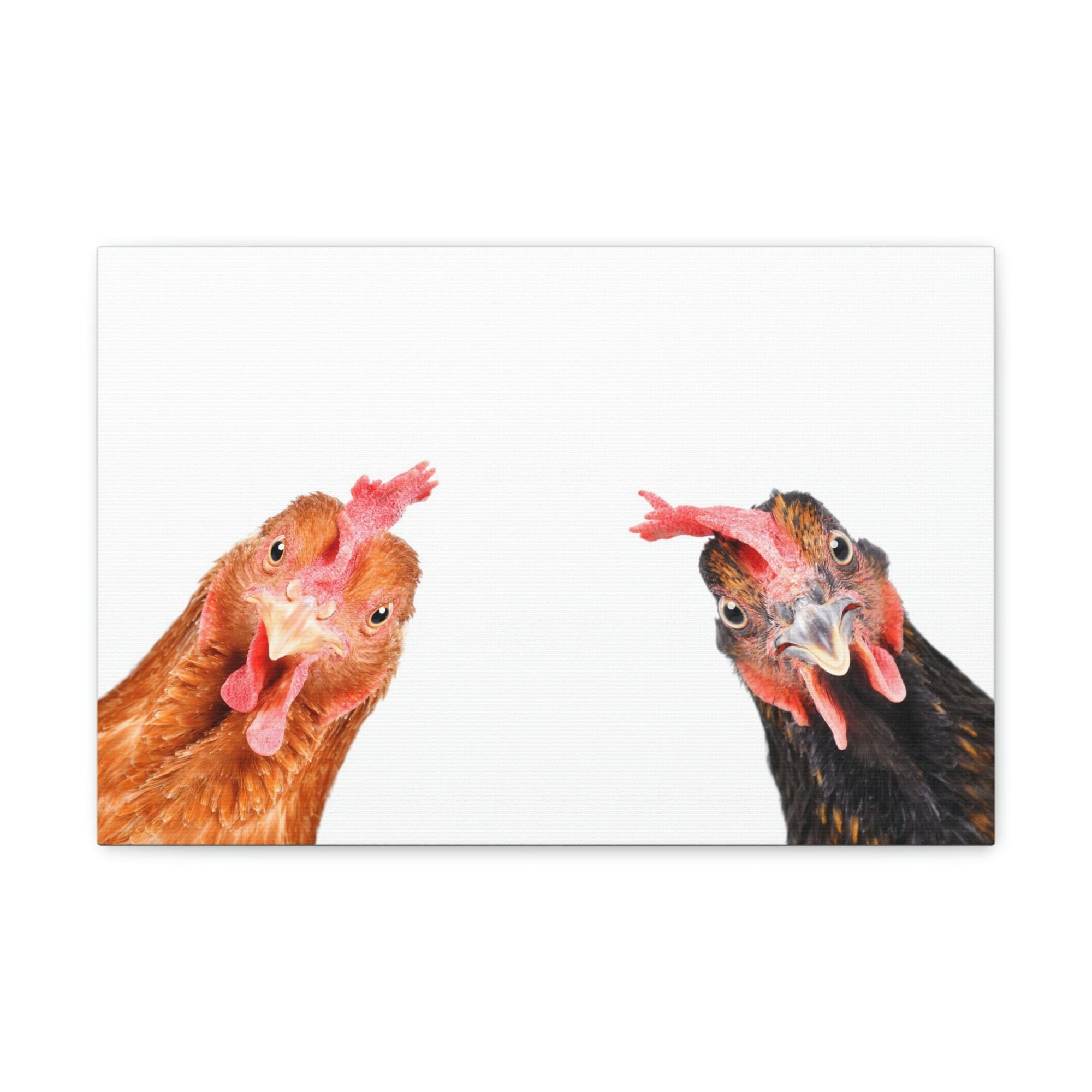 Funny Rooster Silly Rooster Couple Wall Art Ready to Hang Unframed-Express Your Love Gifts