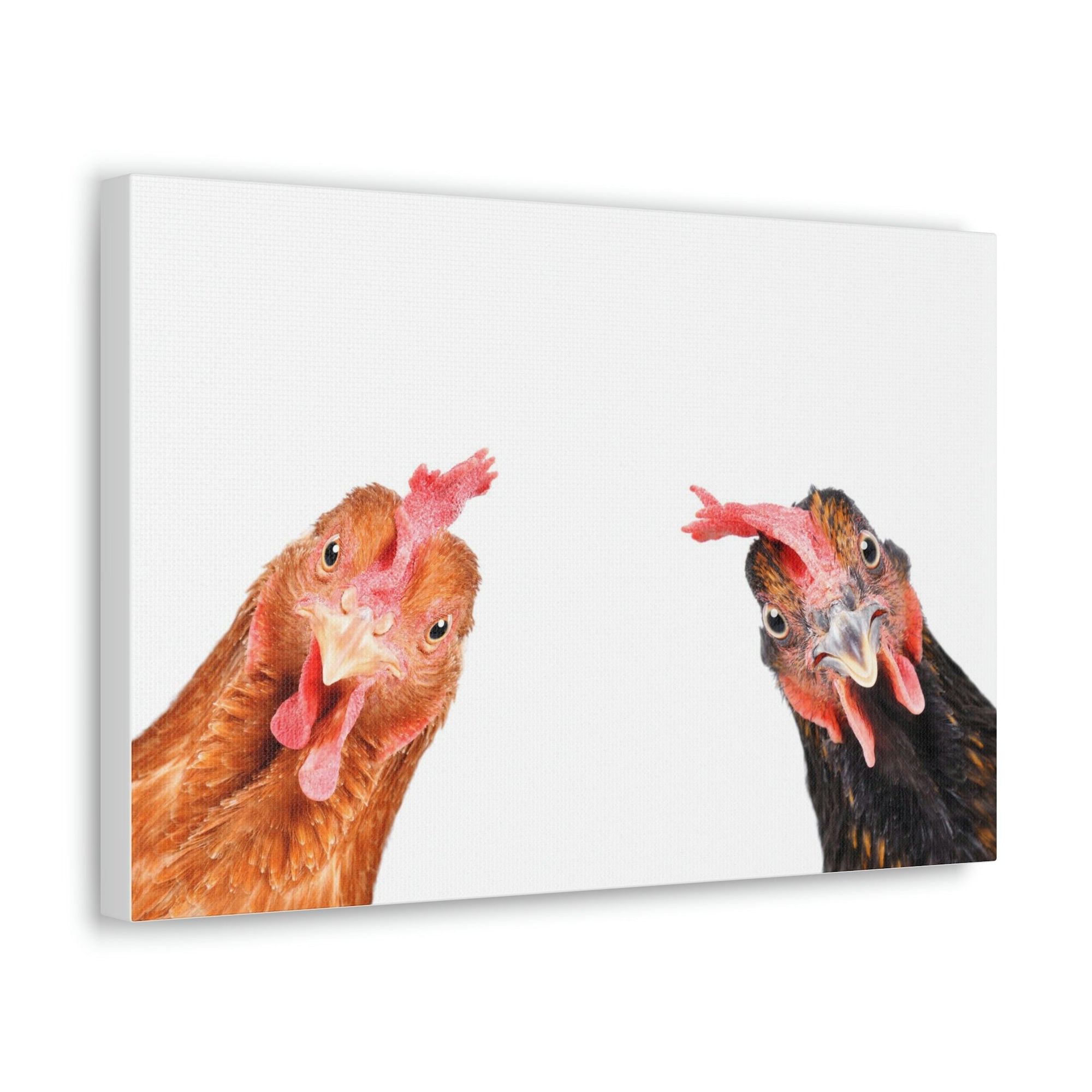 Funny Rooster Silly Rooster Couple Wall Art Ready to Hang Unframed-Express Your Love Gifts