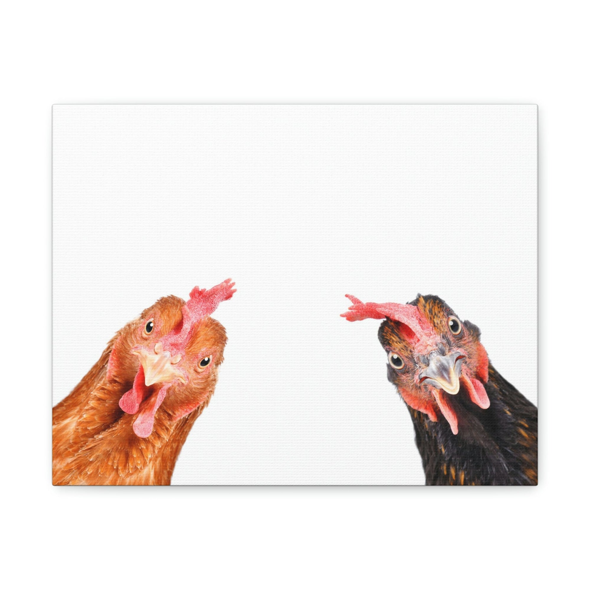 Funny Rooster Silly Rooster Couple Wall Art Ready to Hang Unframed-Express Your Love Gifts