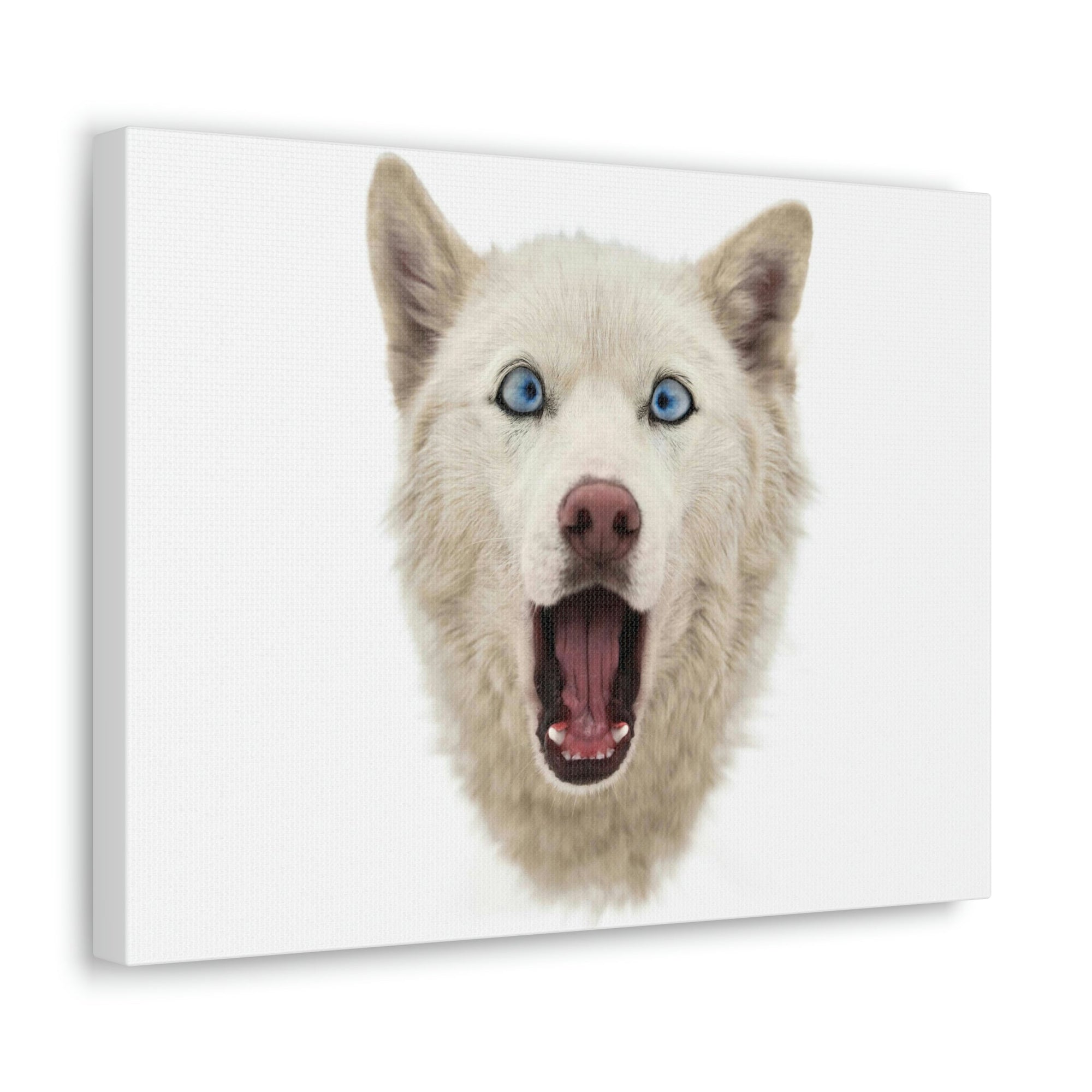 Funny Siberian Husky Silly Siberian Husky Inside Wall Art Ready to Hang Unframed-Express Your Love Gifts