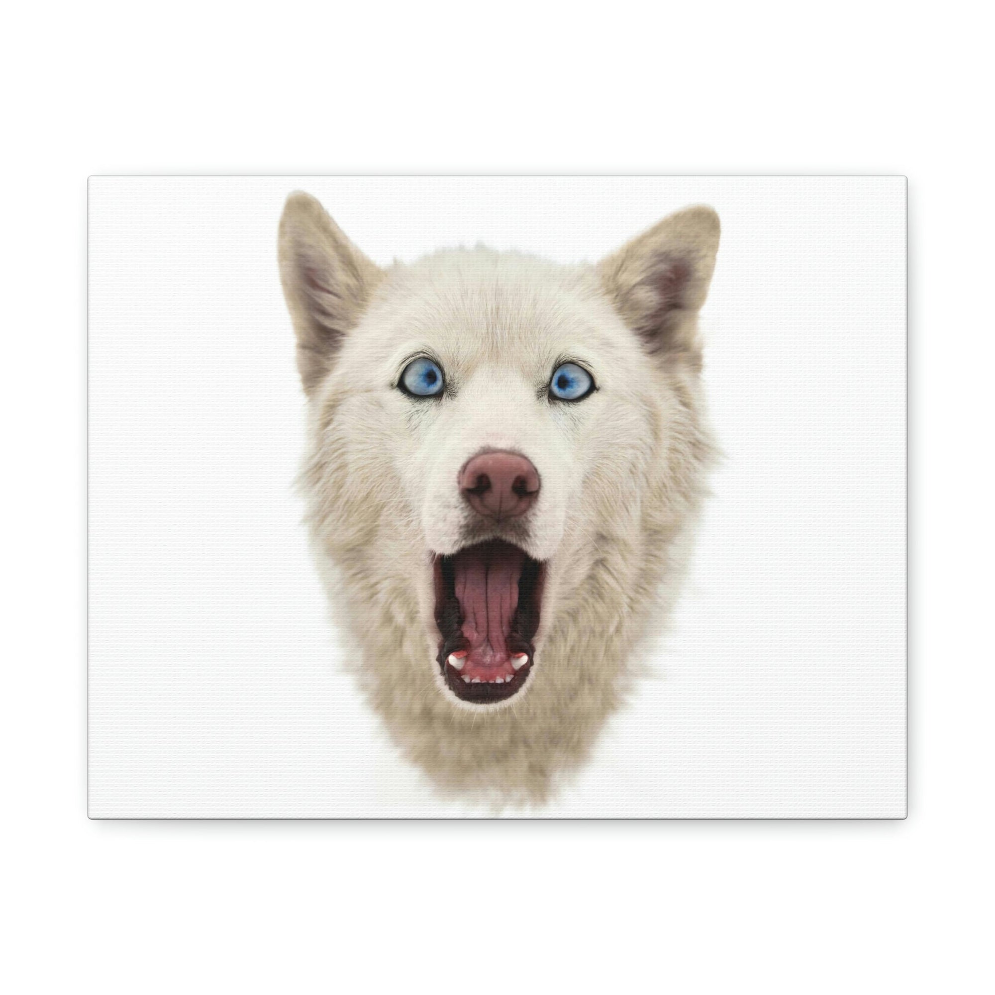 Funny Siberian Husky Silly Siberian Husky Inside Wall Art Ready to Hang Unframed-Express Your Love Gifts