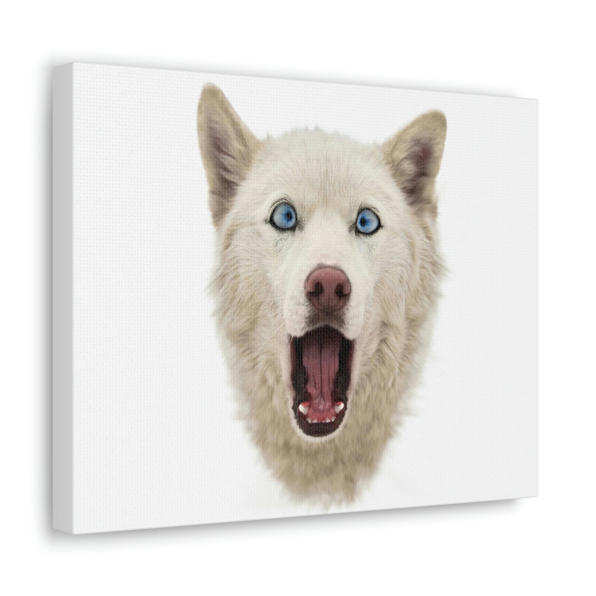 Funny Siberian Husky Silly Siberian Husky Inside Wall Art Ready to Hang Unframed-Express Your Love Gifts