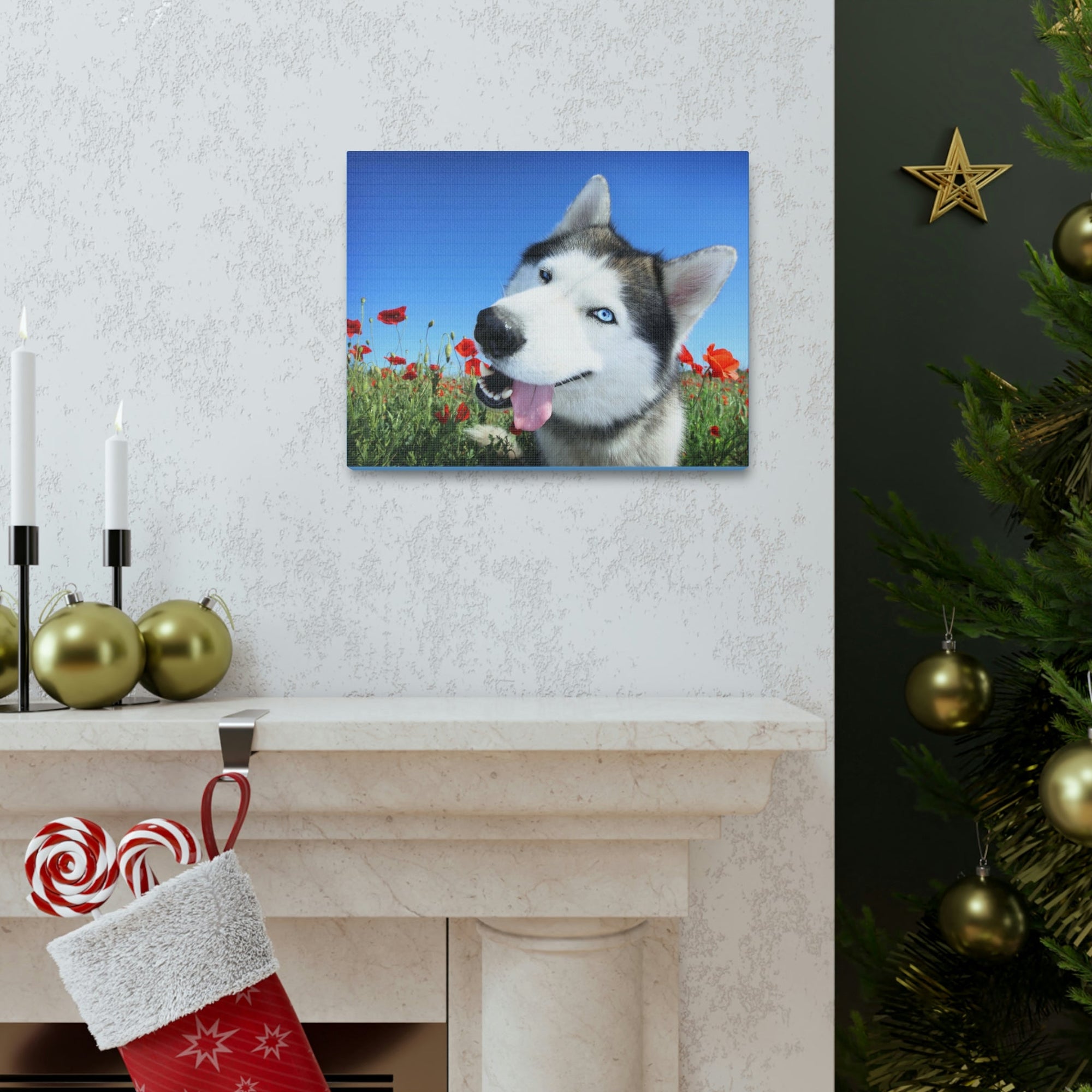 Funny Siberian Husky Silly Siberian Husky Outside Wall Art Ready to Hang Unframed-Express Your Love Gifts