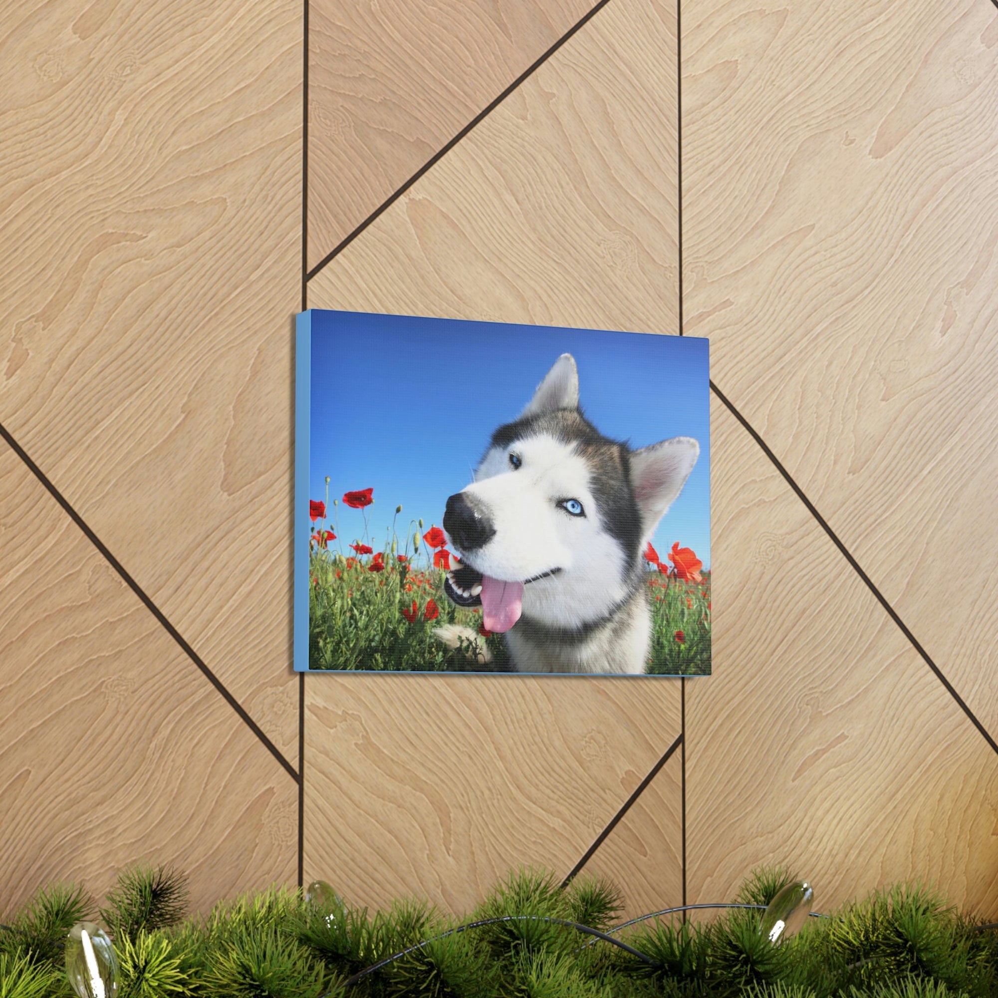 Funny Siberian Husky Silly Siberian Husky Outside Wall Art Ready to Hang Unframed-Express Your Love Gifts