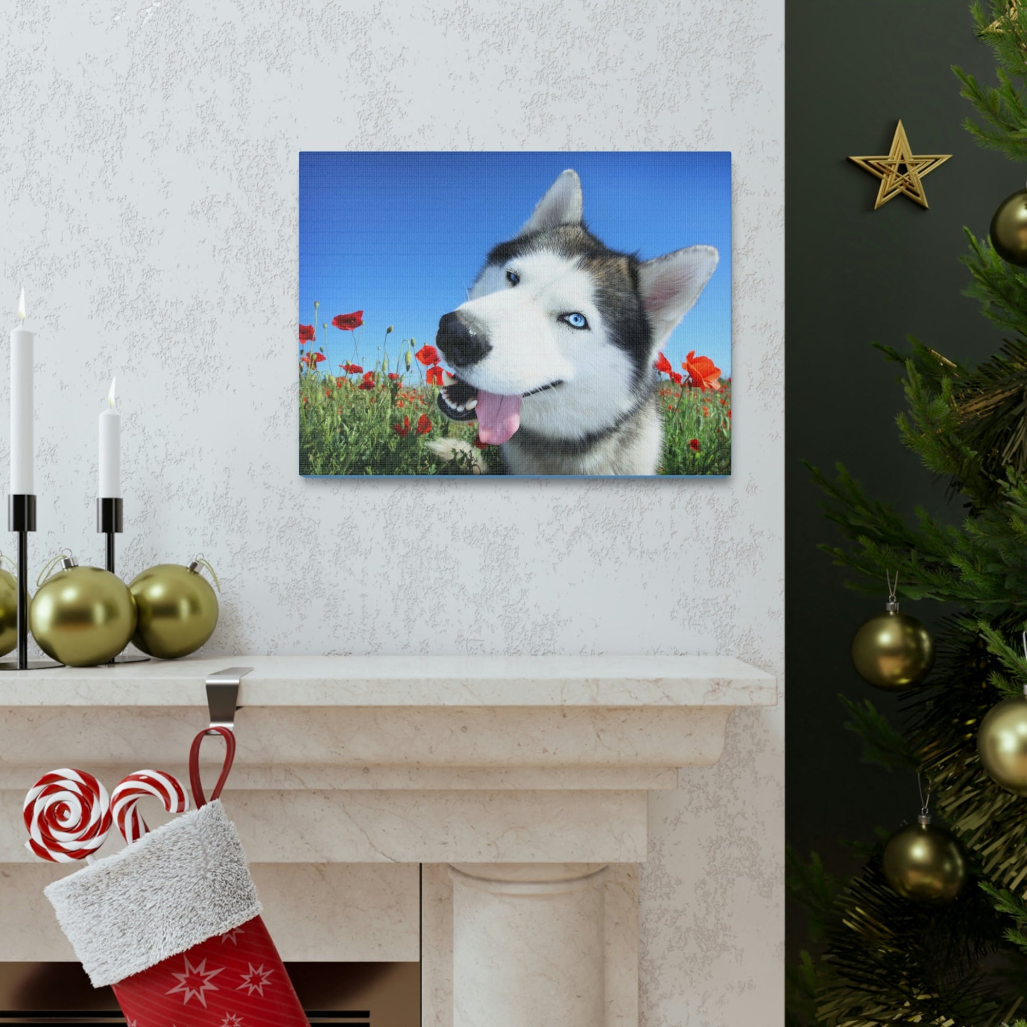 Funny Siberian Husky Silly Siberian Husky Outside Wall Art Ready to Hang Unframed-Express Your Love Gifts