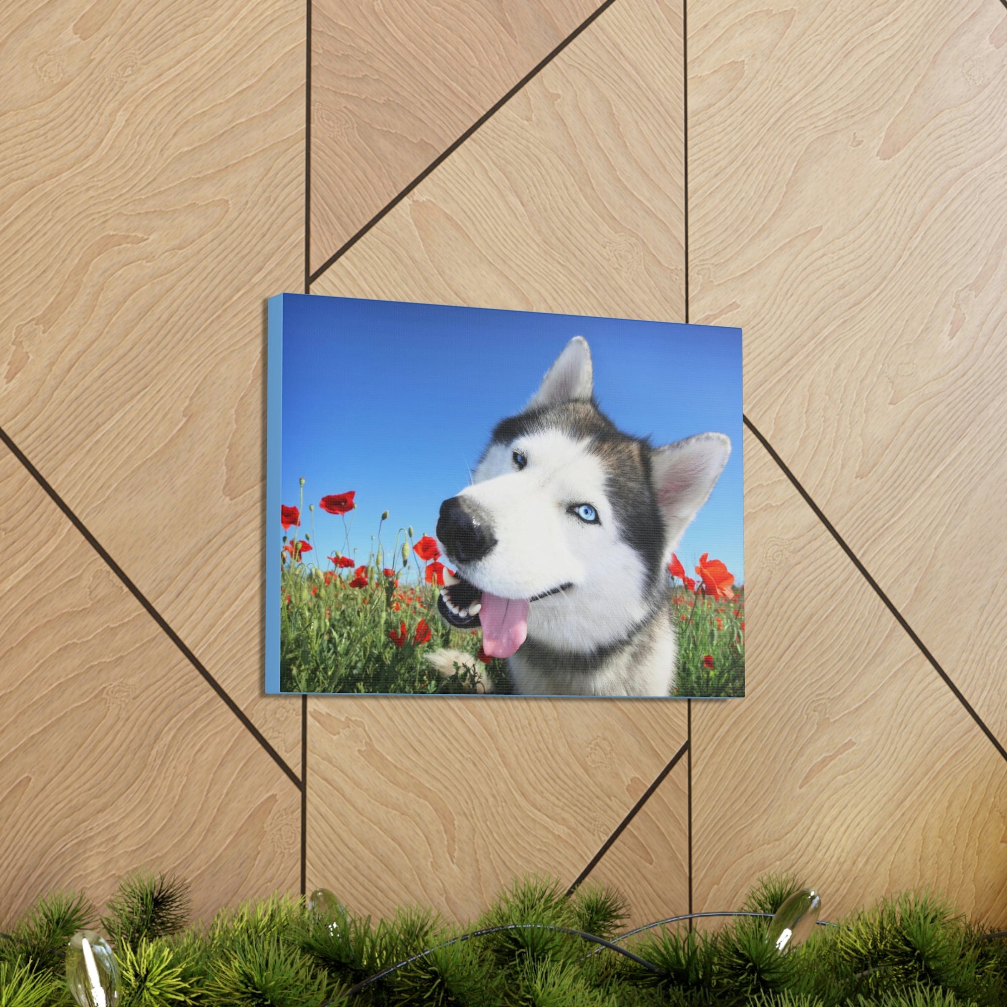 Funny Siberian Husky Silly Siberian Husky Outside Wall Art Ready to Hang Unframed-Express Your Love Gifts