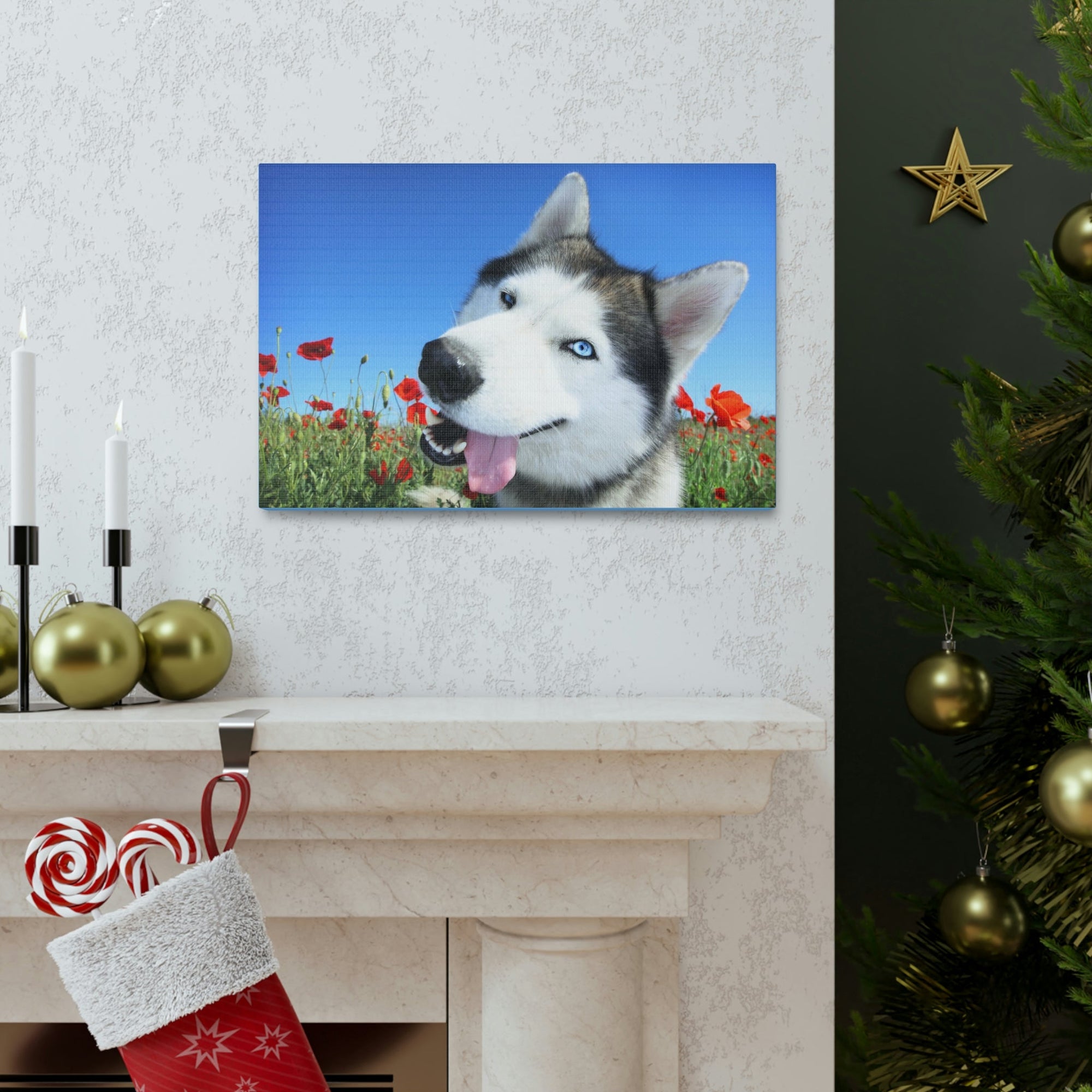 Funny Siberian Husky Silly Siberian Husky Outside Wall Art Ready to Hang Unframed-Express Your Love Gifts