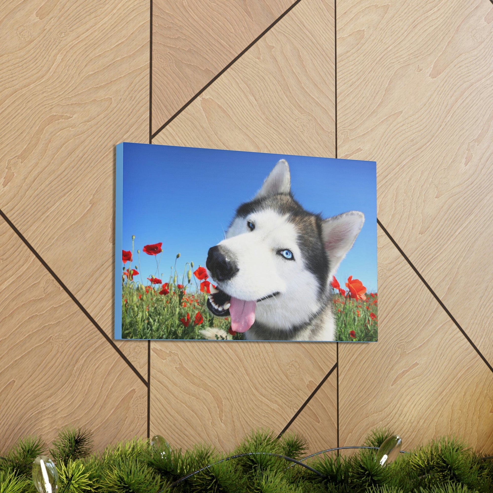 Funny Siberian Husky Silly Siberian Husky Outside Wall Art Ready to Hang Unframed-Express Your Love Gifts