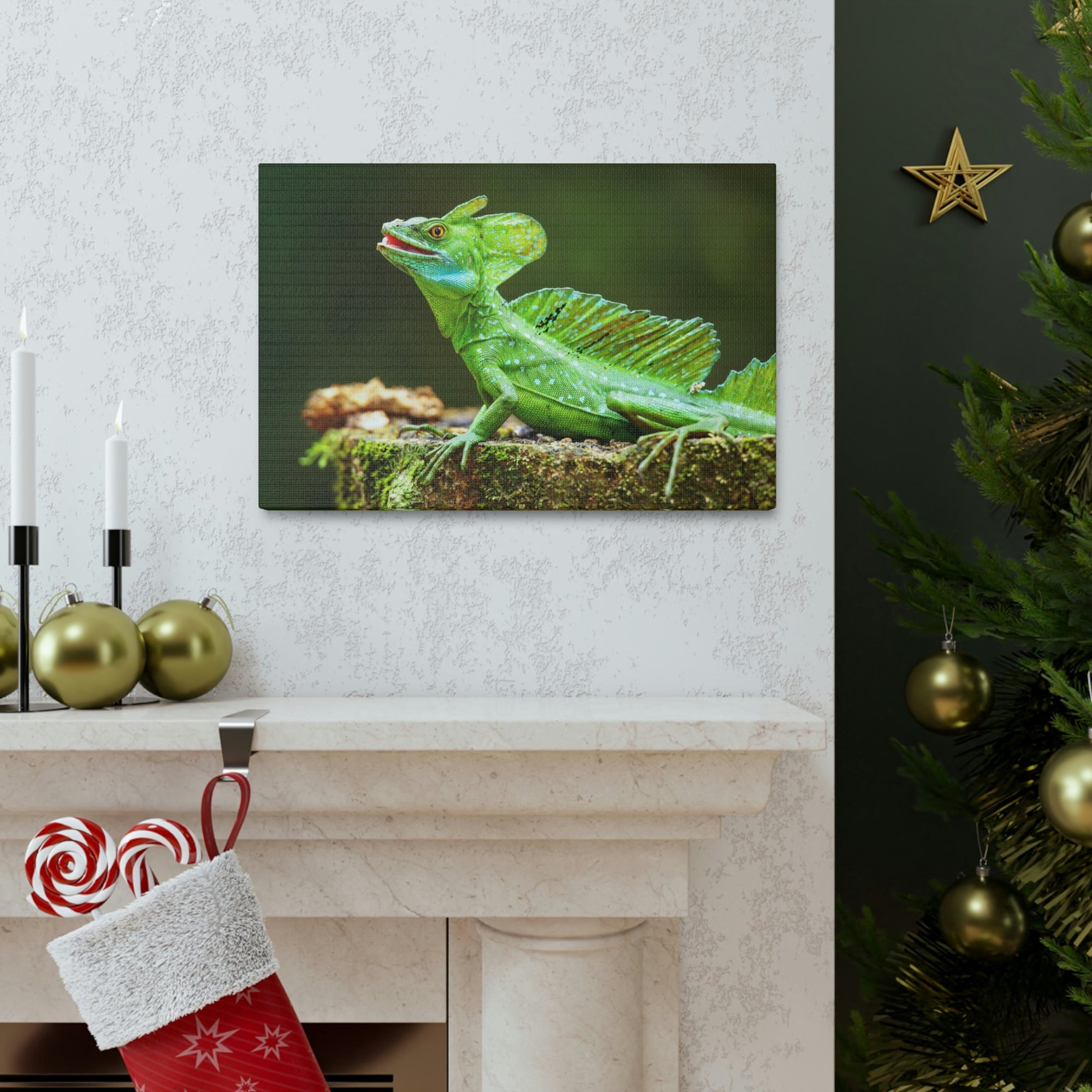 Funny Smiling Basilisk Outside Wall Art Ready to Hang Unframed-Express Your Love Gifts